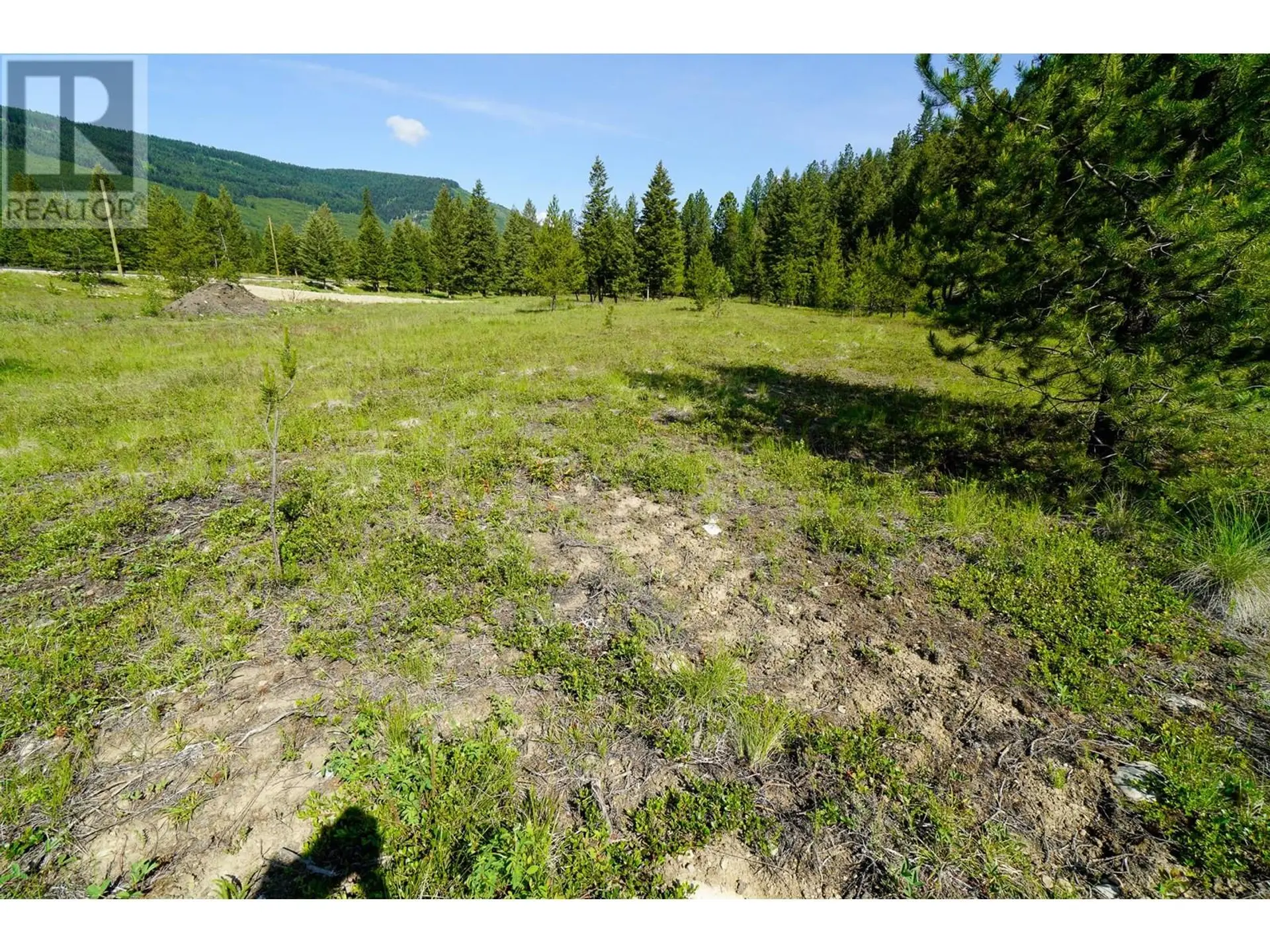 Property at LOT 9 MARY G ROAD, Beaverdell, BC