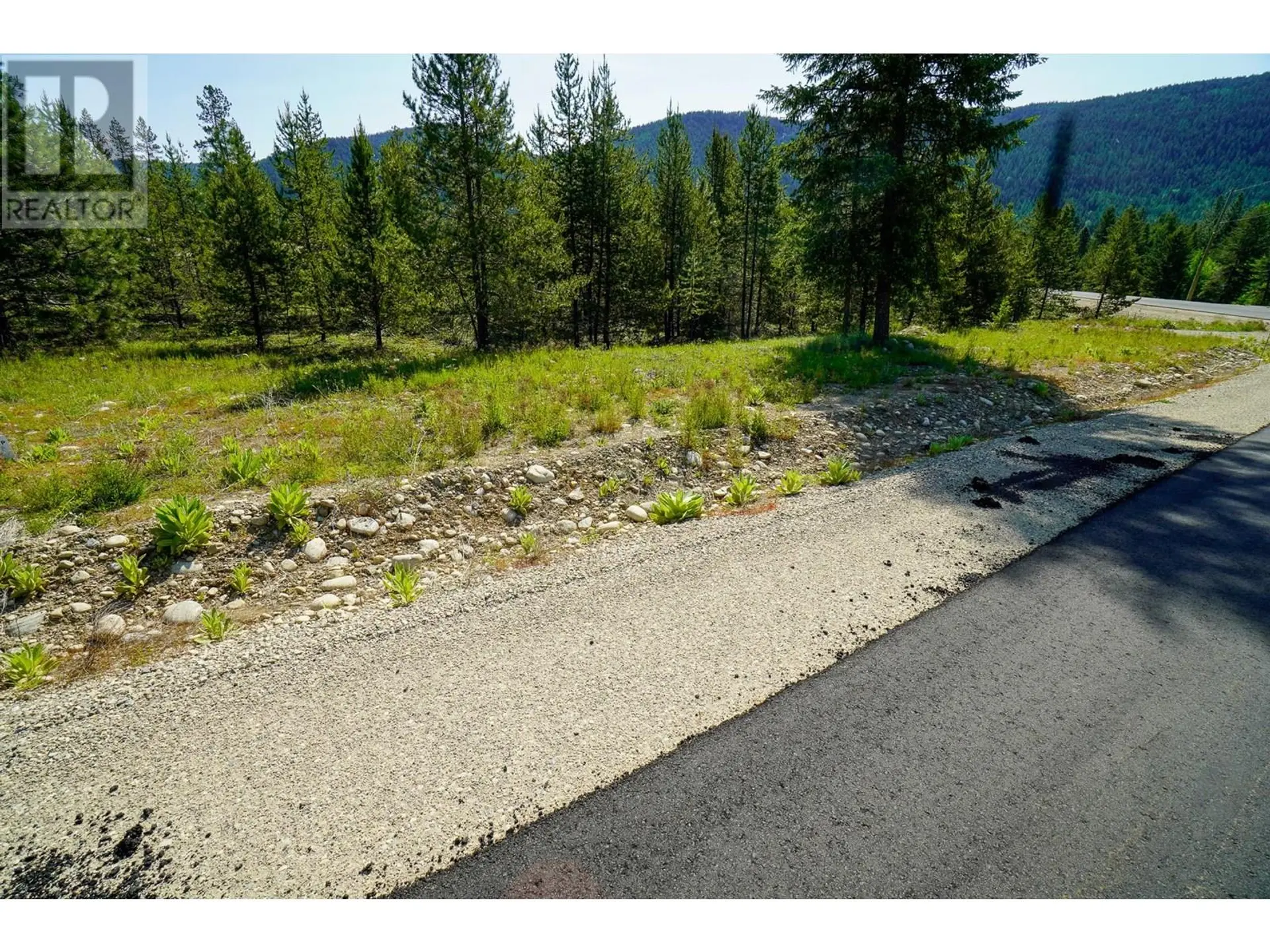 Property at LOT 10 MARY G ROAD, Beaverdell, BC
