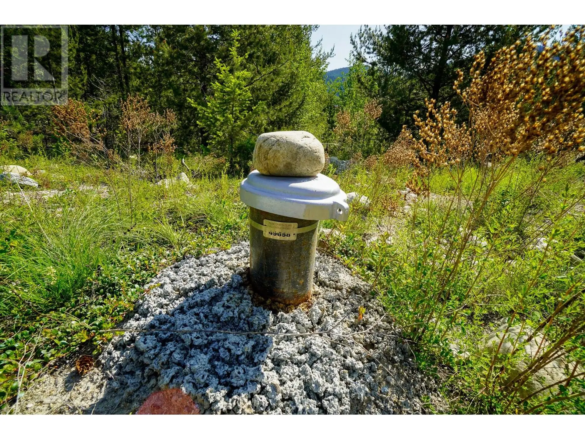 Property at LOT 10 MARY G ROAD, Beaverdell, BC