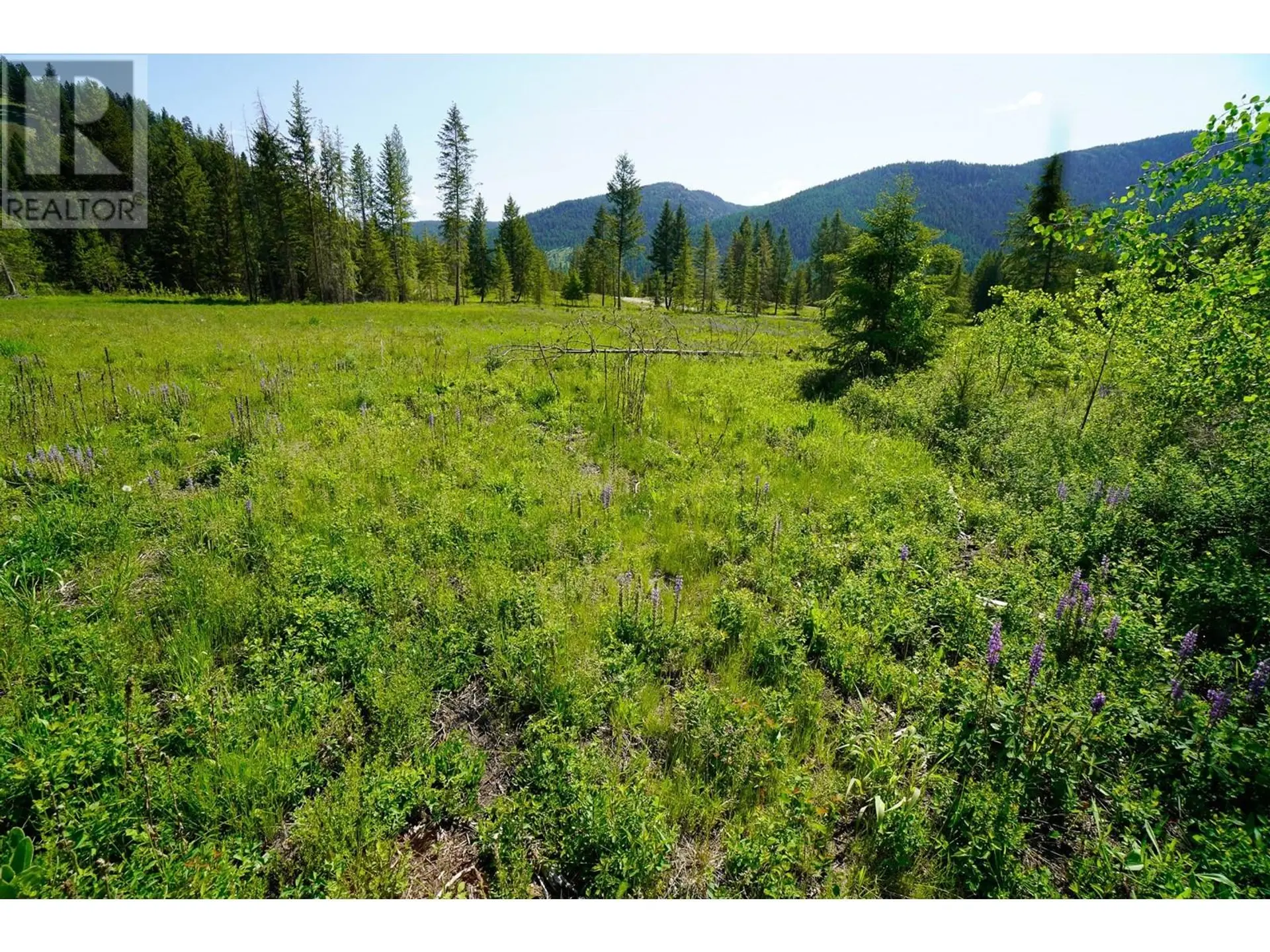 Property at LOT 4 MARY G ROAD, Beaverdell, BC