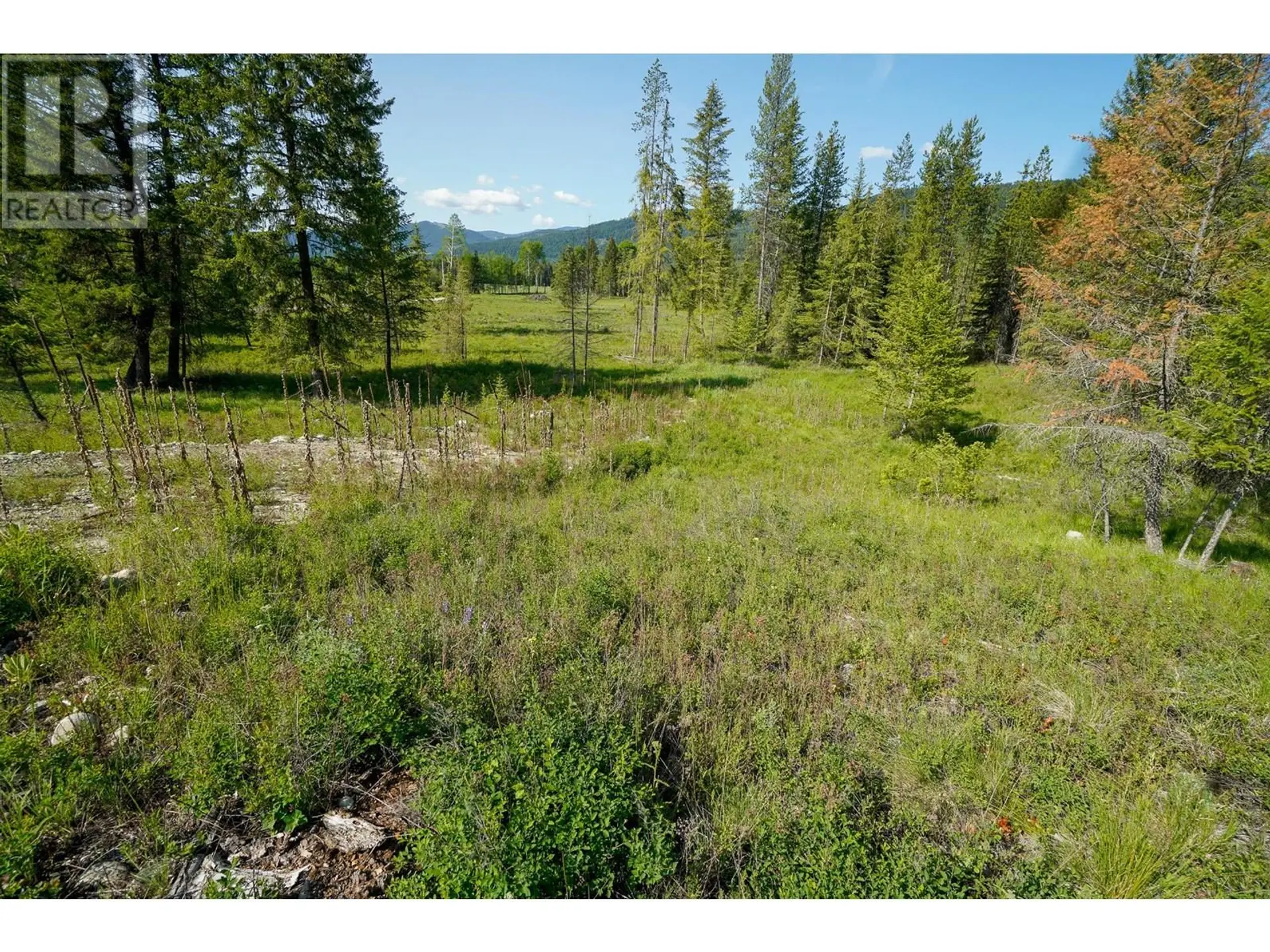 Property at LOT 4 MARY G ROAD, Beaverdell, BC