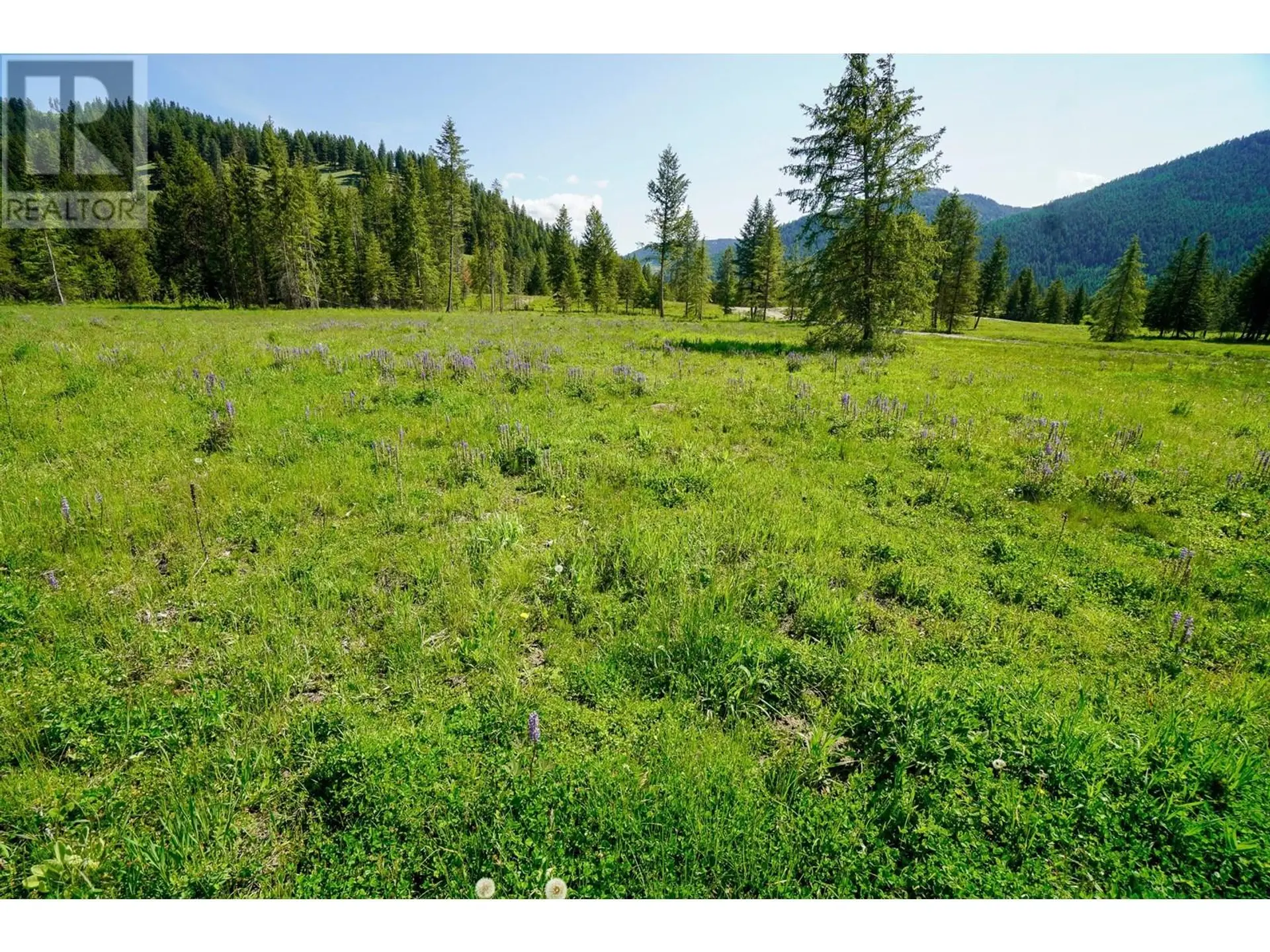 Property at LOT 4 MARY G ROAD, Beaverdell, BC