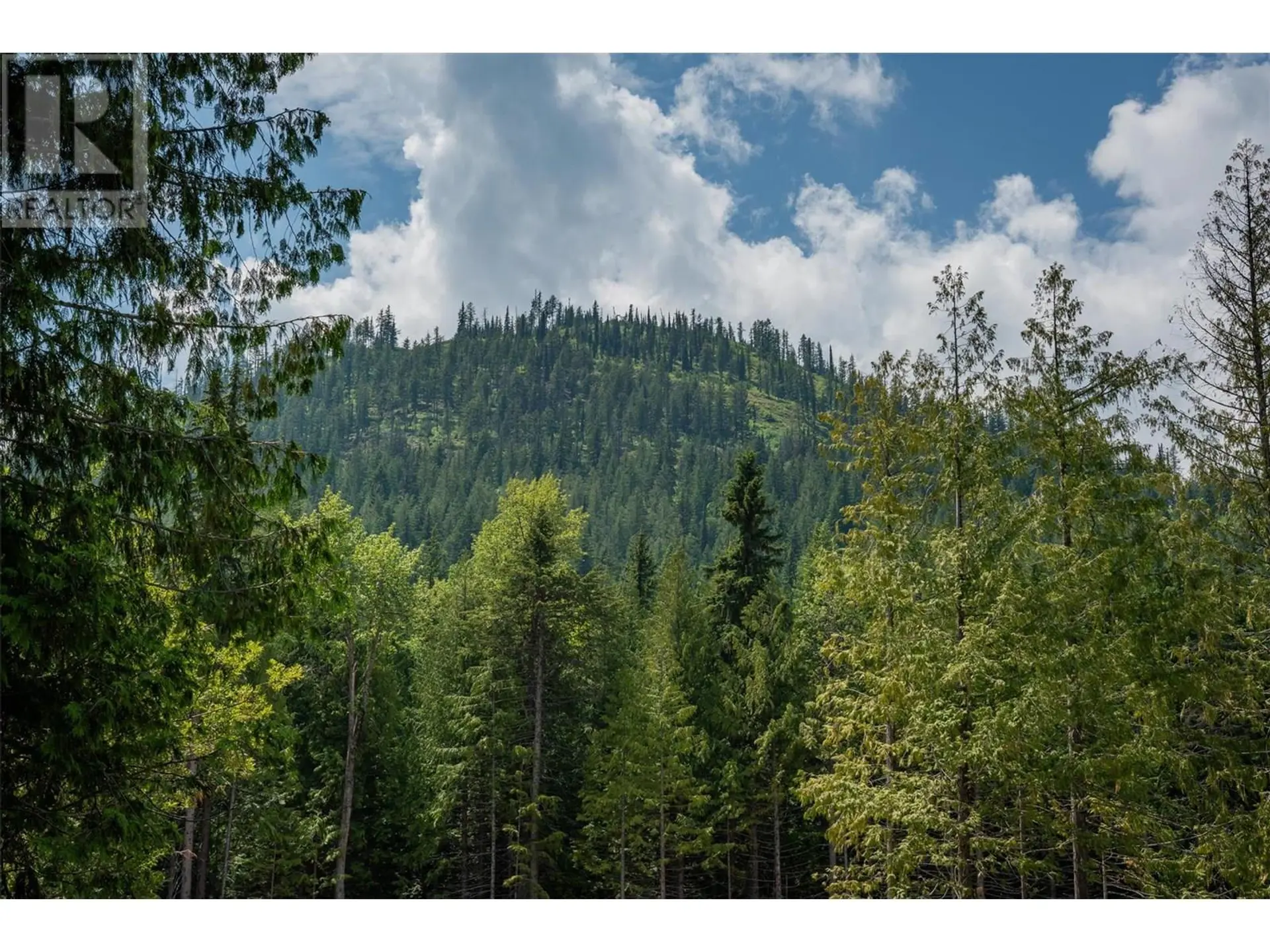 Property at 302 LARCH TERR, Rossland, BC