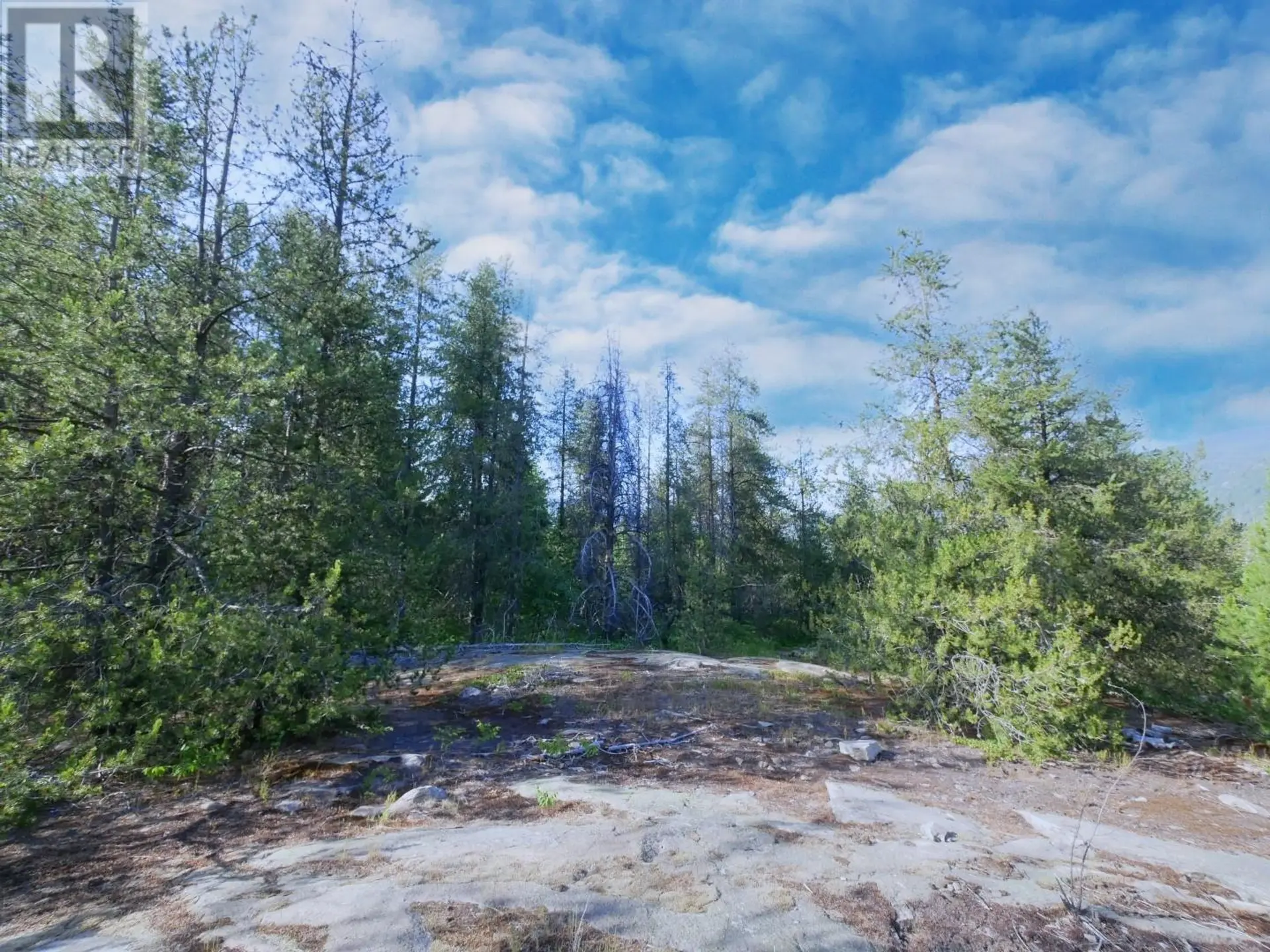 Property at 3000 9TH AVENUE, Castlegar, BC