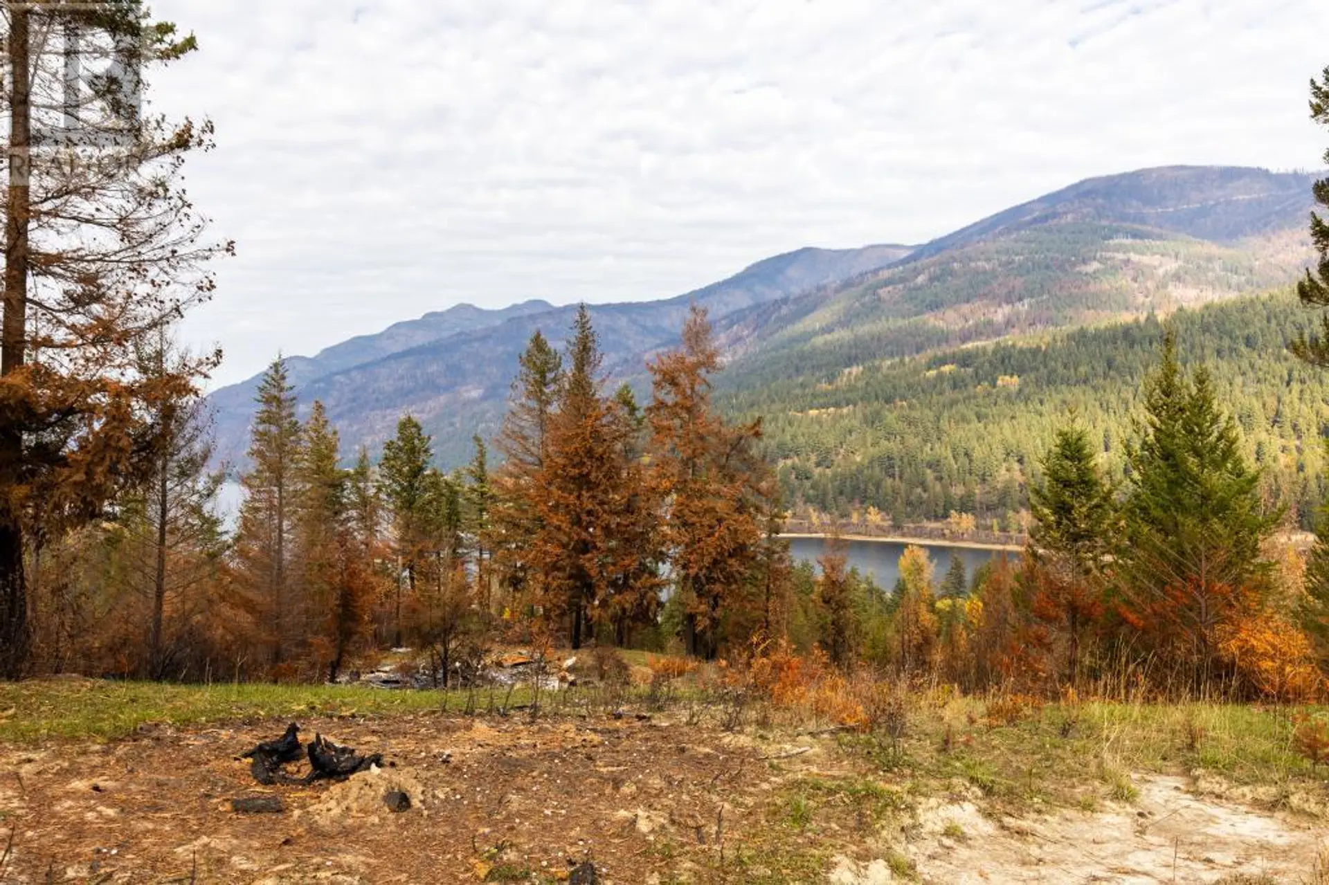Property at 8767 HOLDING ROAD, Chase, BC