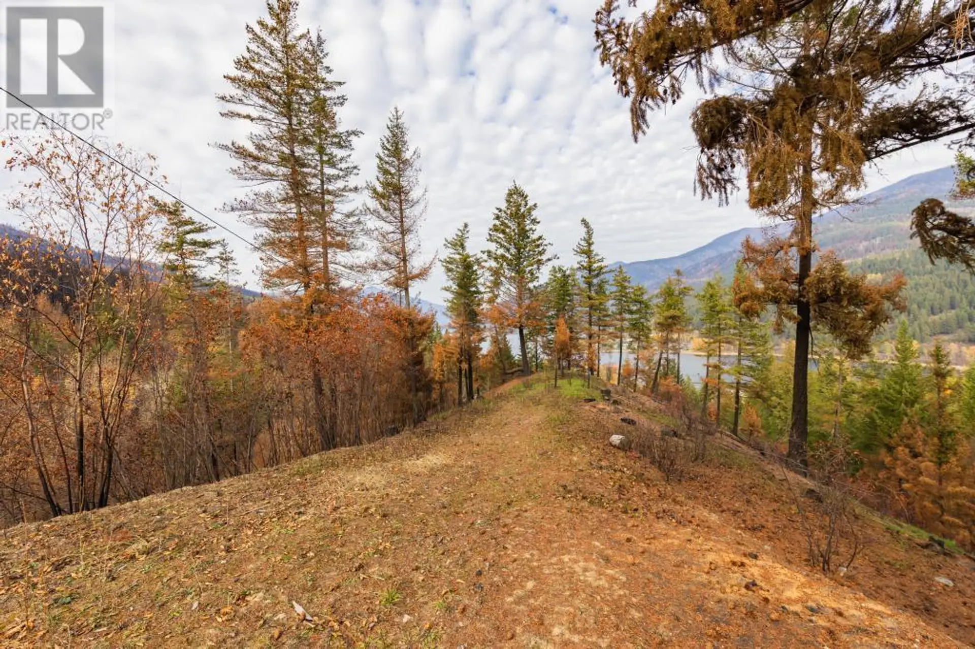 Property at 8767 HOLDING ROAD, Chase, BC