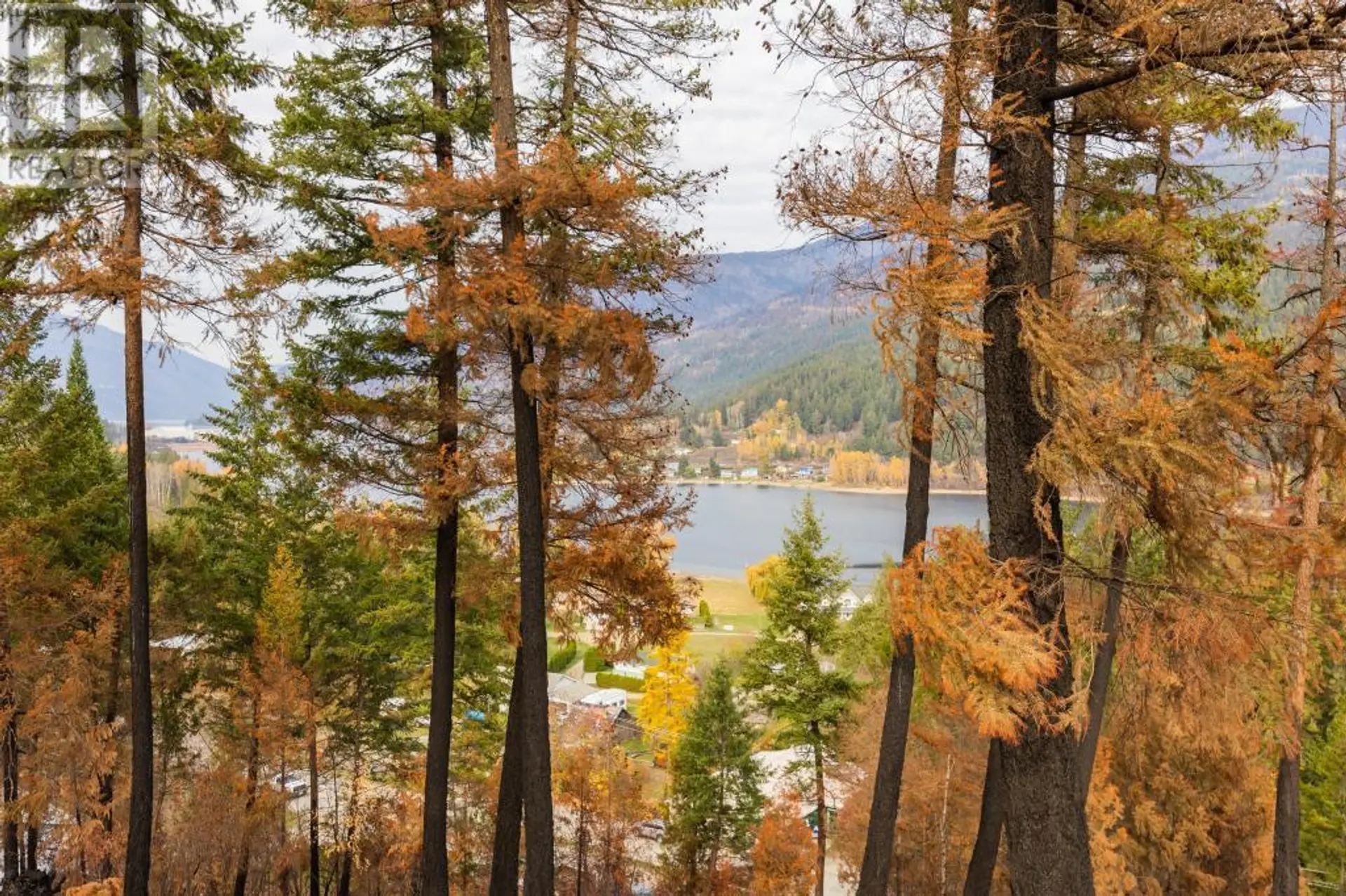 Property at 8767 HOLDING ROAD, Chase, BC