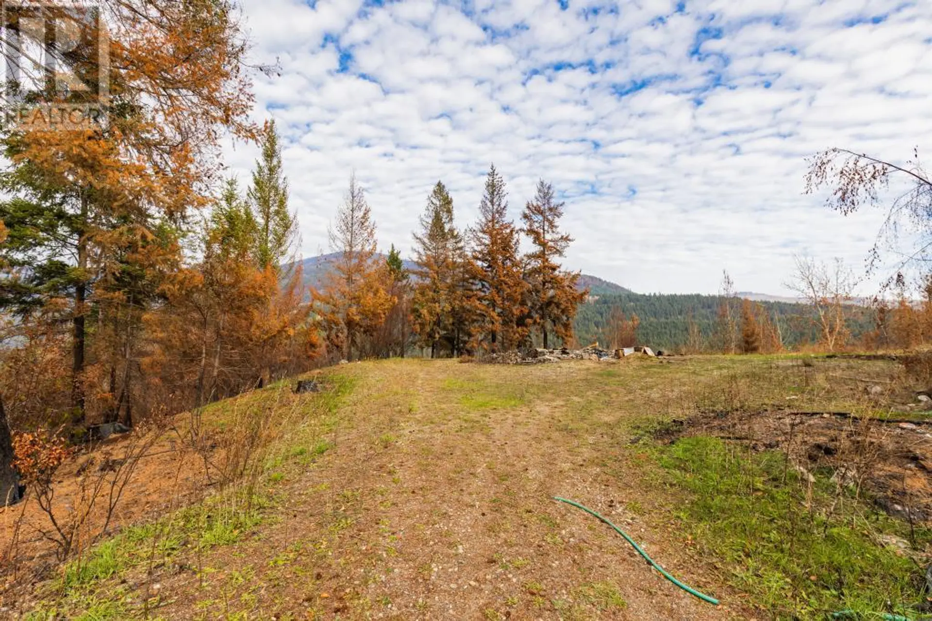 Property at 8767 HOLDING ROAD, Chase, BC