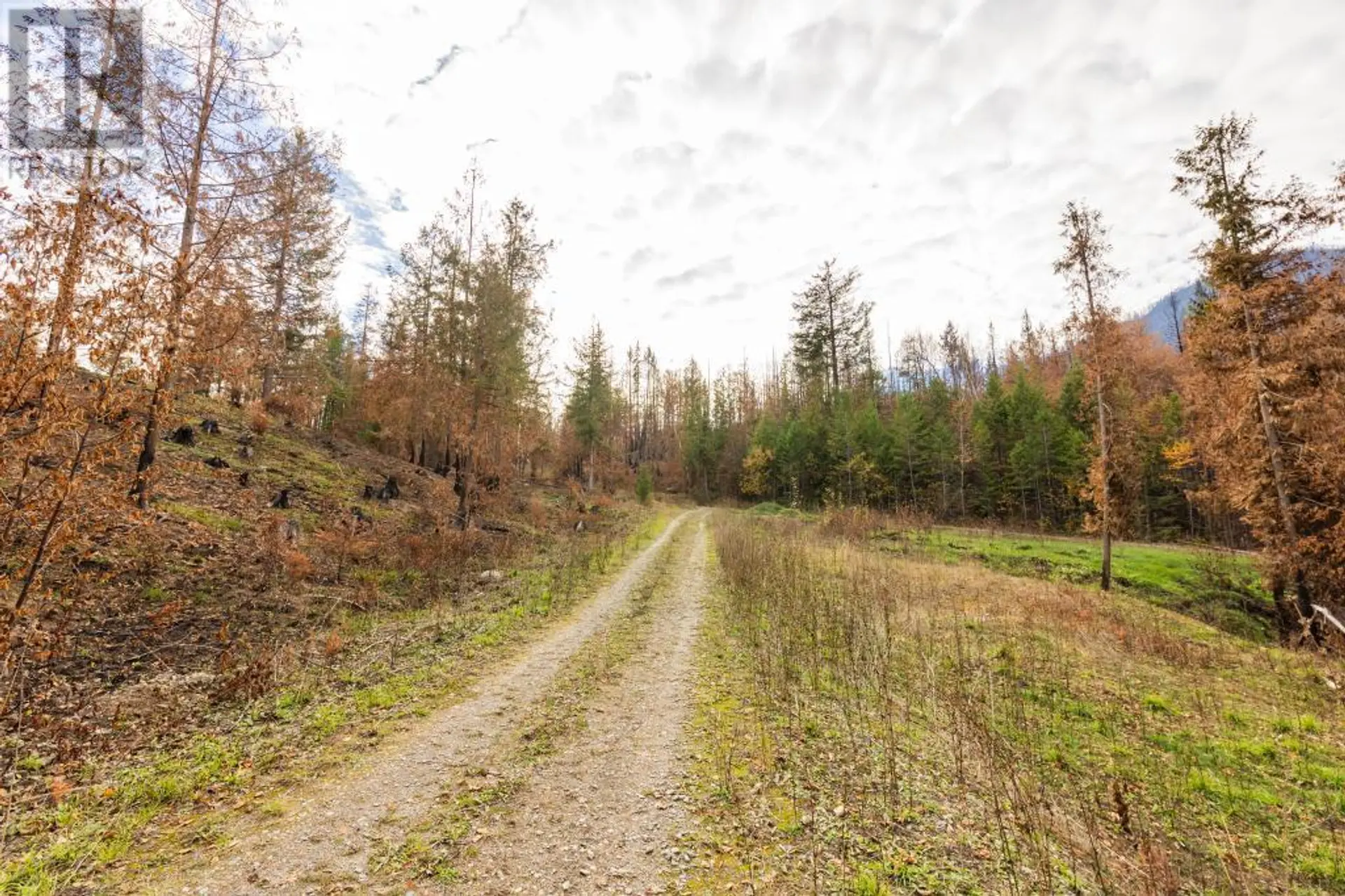 Property at 8767 HOLDING ROAD, Chase, BC