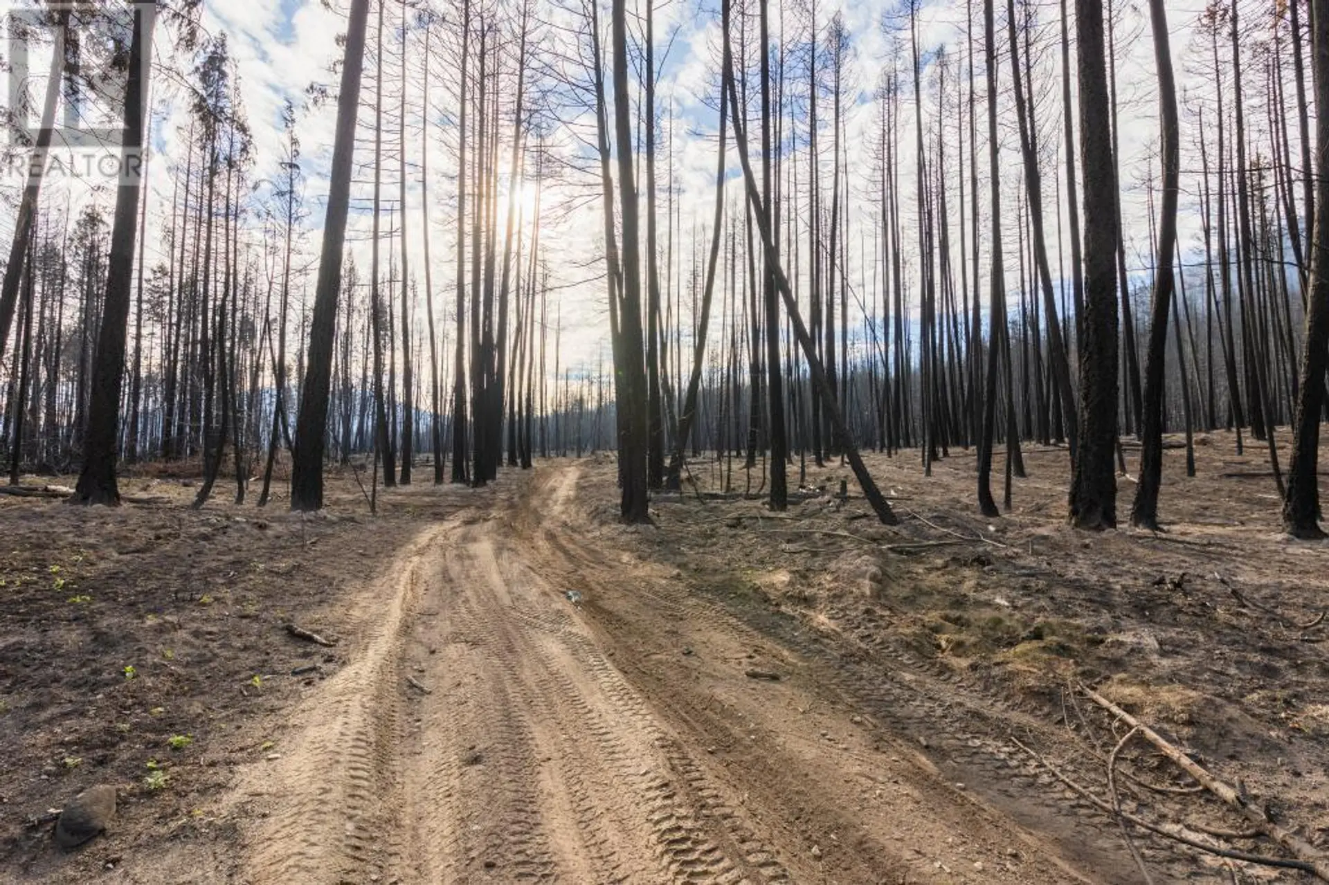 Property at 8767 HOLDING ROAD, Chase, BC