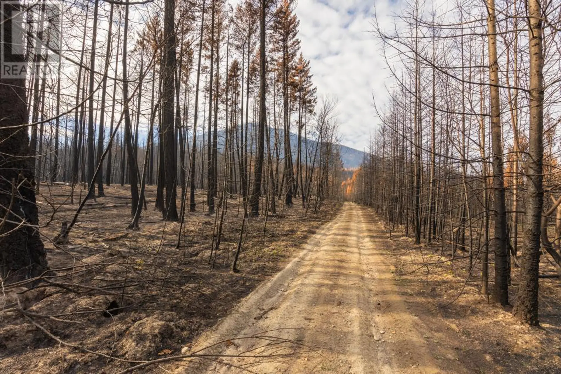 Property at 8767 HOLDING ROAD, Chase, BC