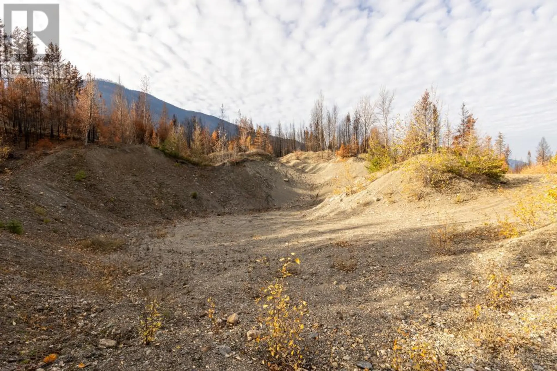 Property at 8767 HOLDING ROAD, Chase, BC