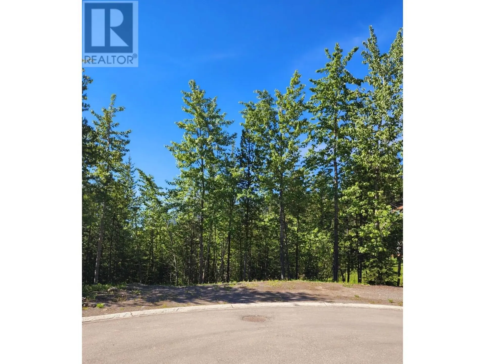 Property at 4 DEMPSEY PLACE, Elkford, BC