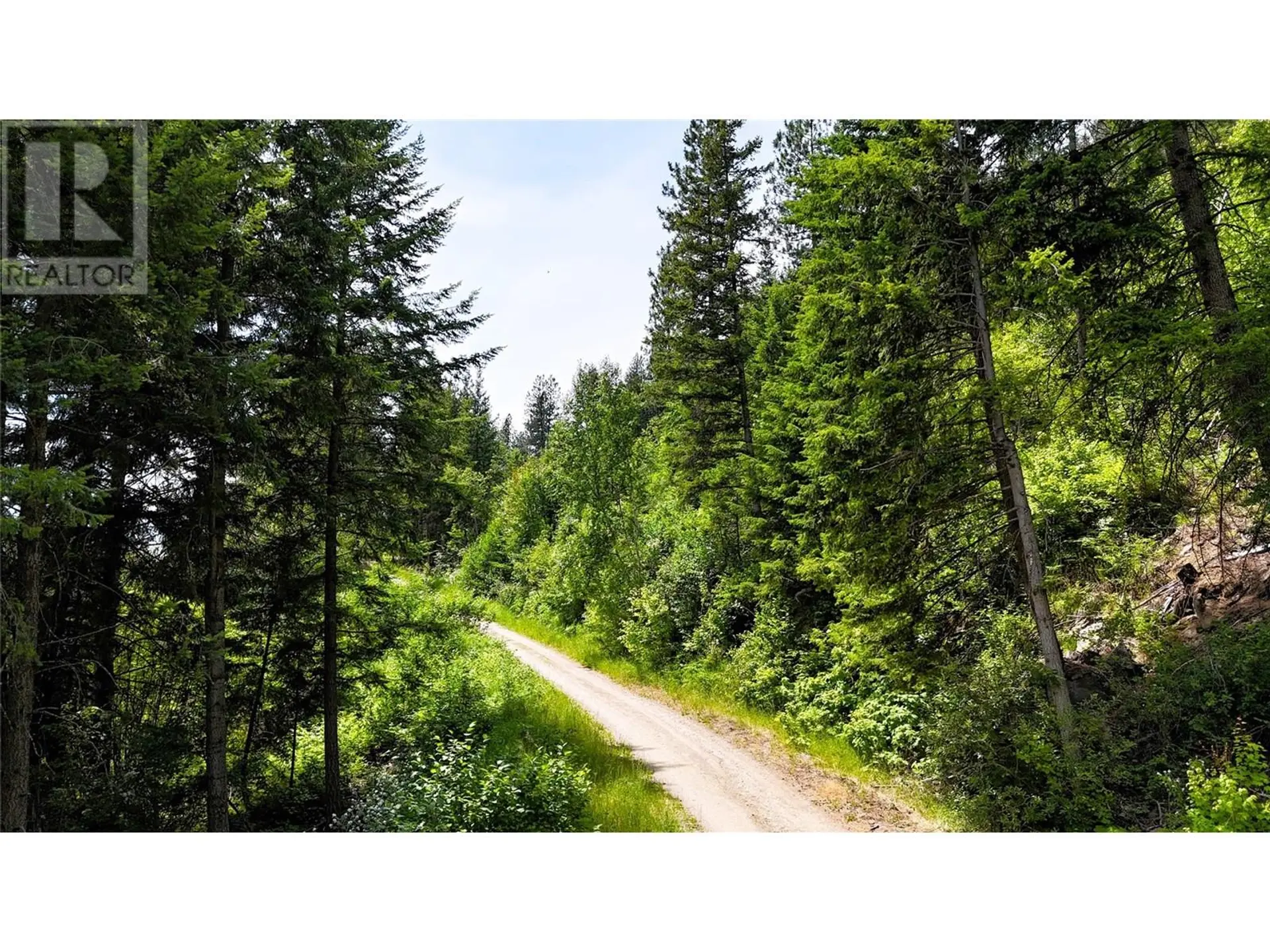 Property at SENTINEL MOUNTAIN FOREST SERVICE ROAD ROAD, Thrums, BC