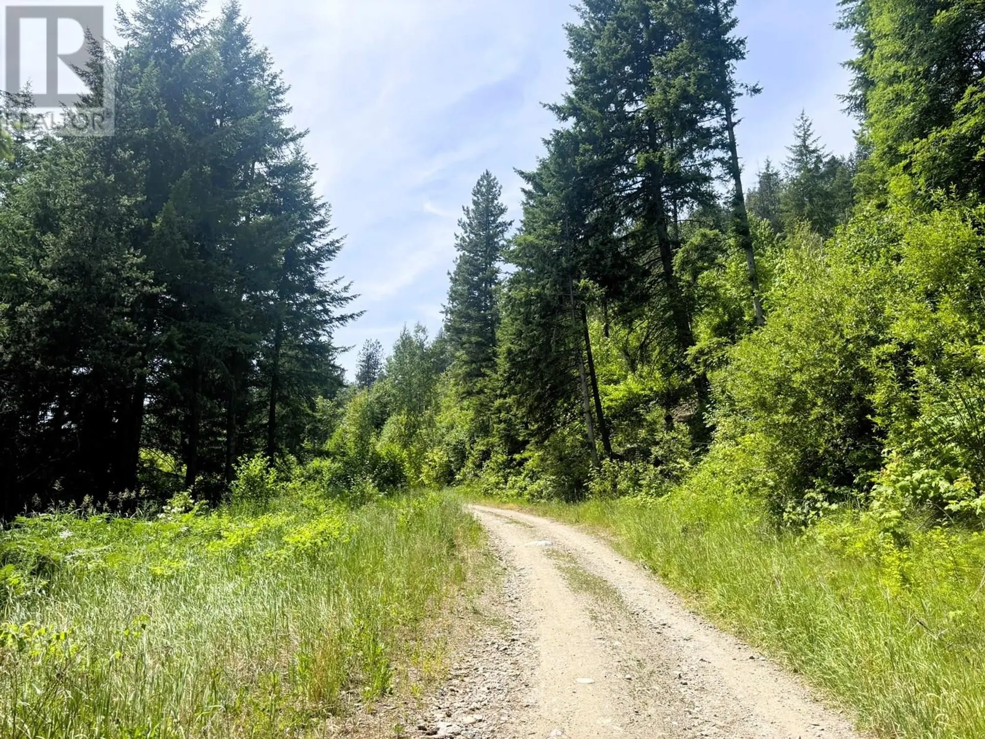 Property at SENTINEL MOUNTAIN FOREST SERVICE ROAD ROAD, Thrums, BC