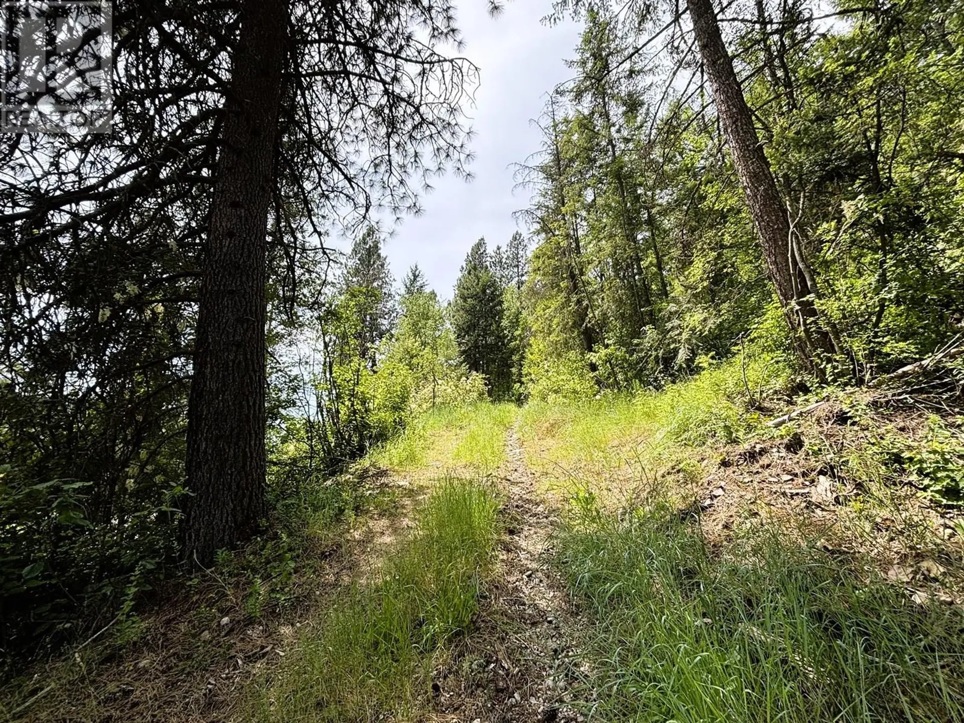 Property at SENTINEL MOUNTAIN FOREST SERVICE ROAD ROAD, Thrums, BC