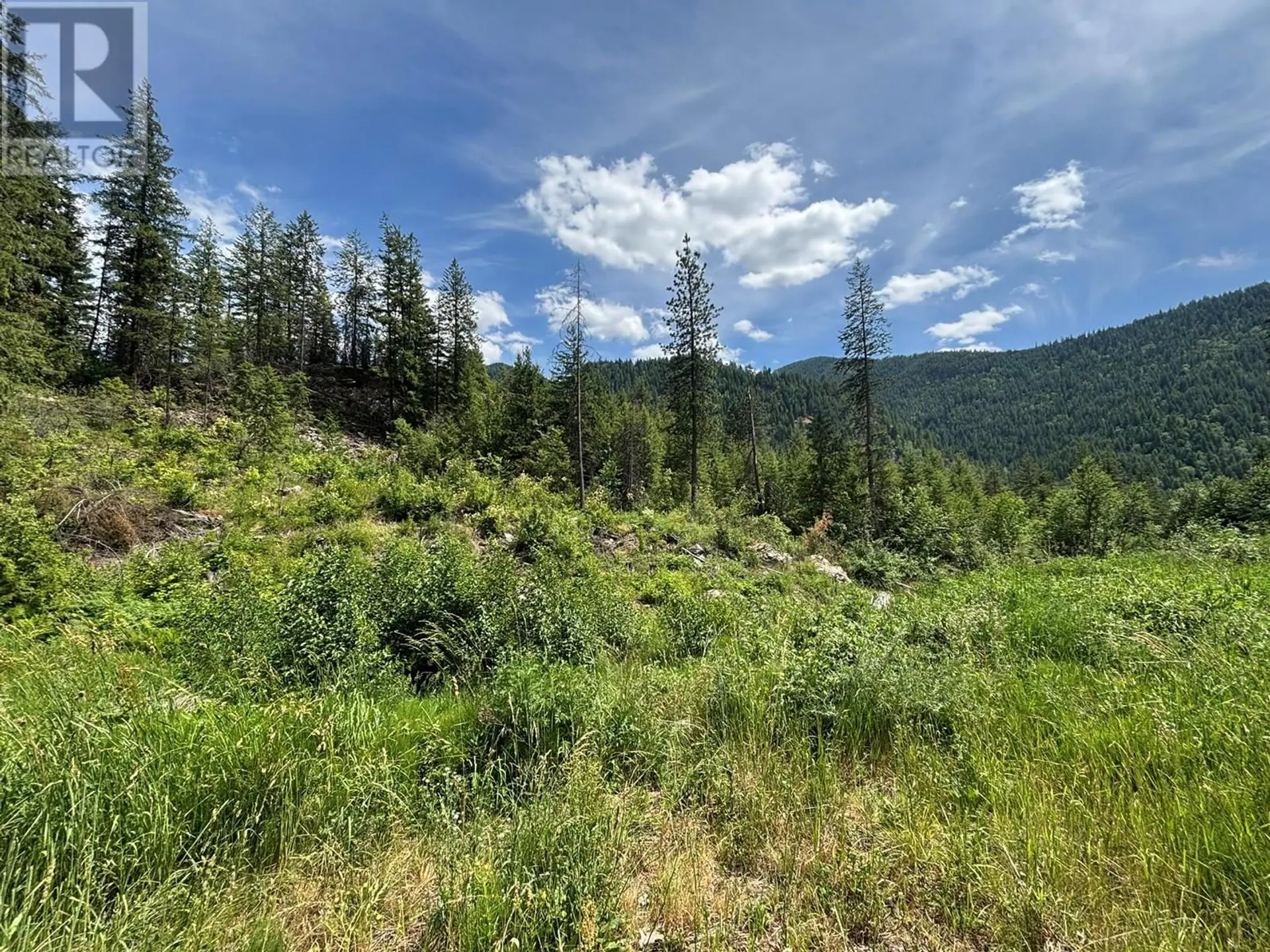 Property at SENTINEL MOUNTAIN FOREST SERVICE ROAD ROAD, Thrums, BC