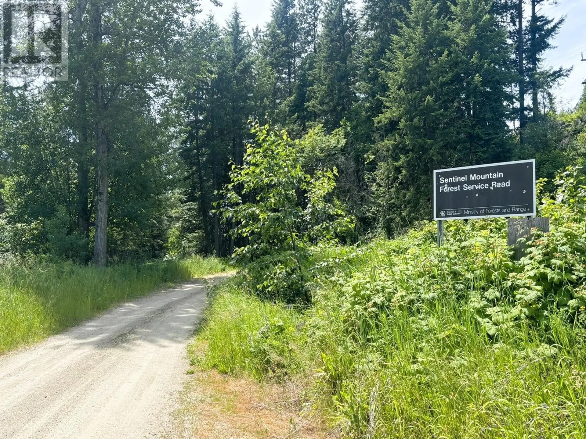 Property at SENTINEL MOUNTAIN FOREST SERVICE ROAD ROAD, Thrums, BC