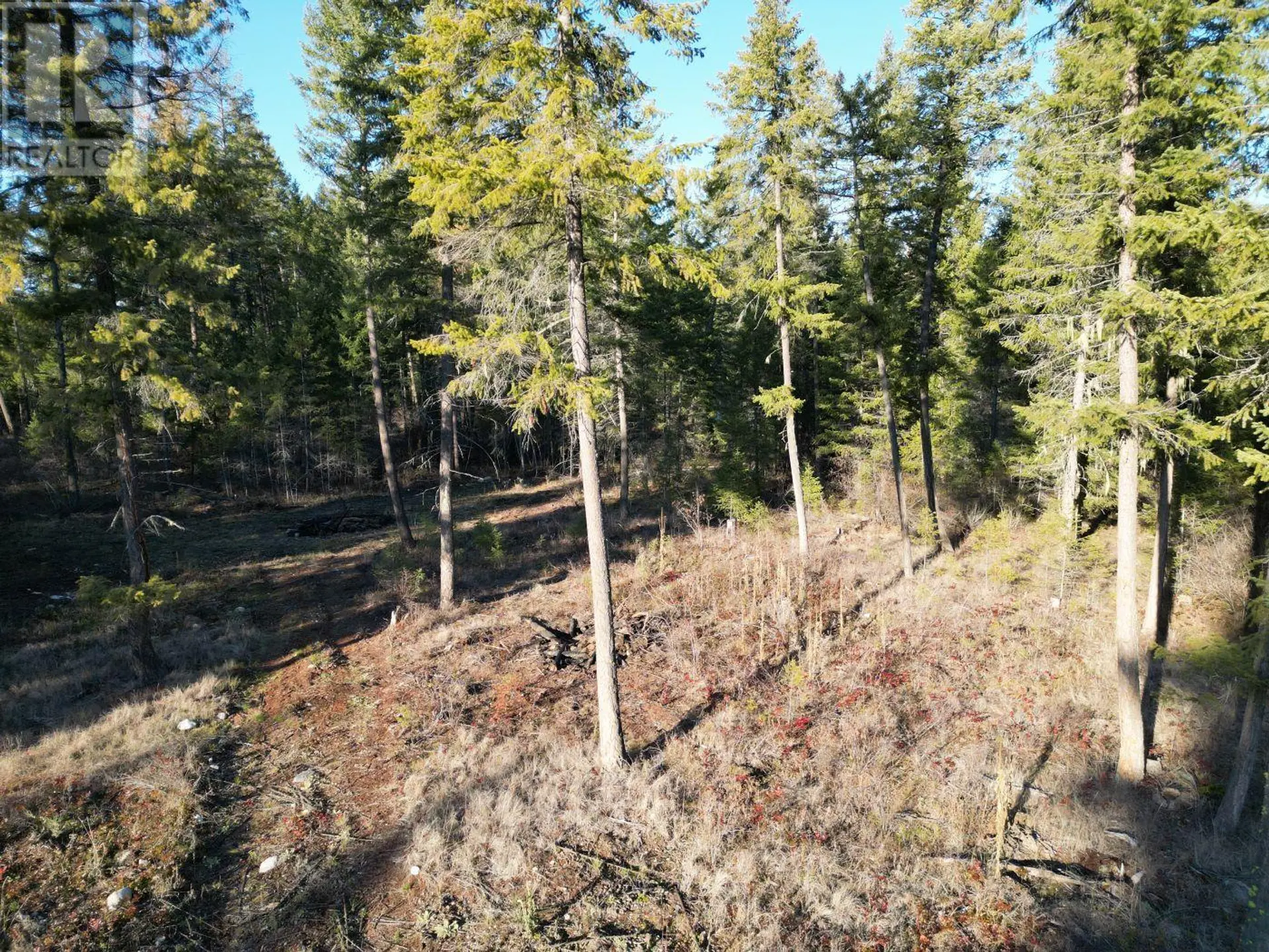 Property at LOT 1 CAITLIN ROAD, Christina Lake, BC