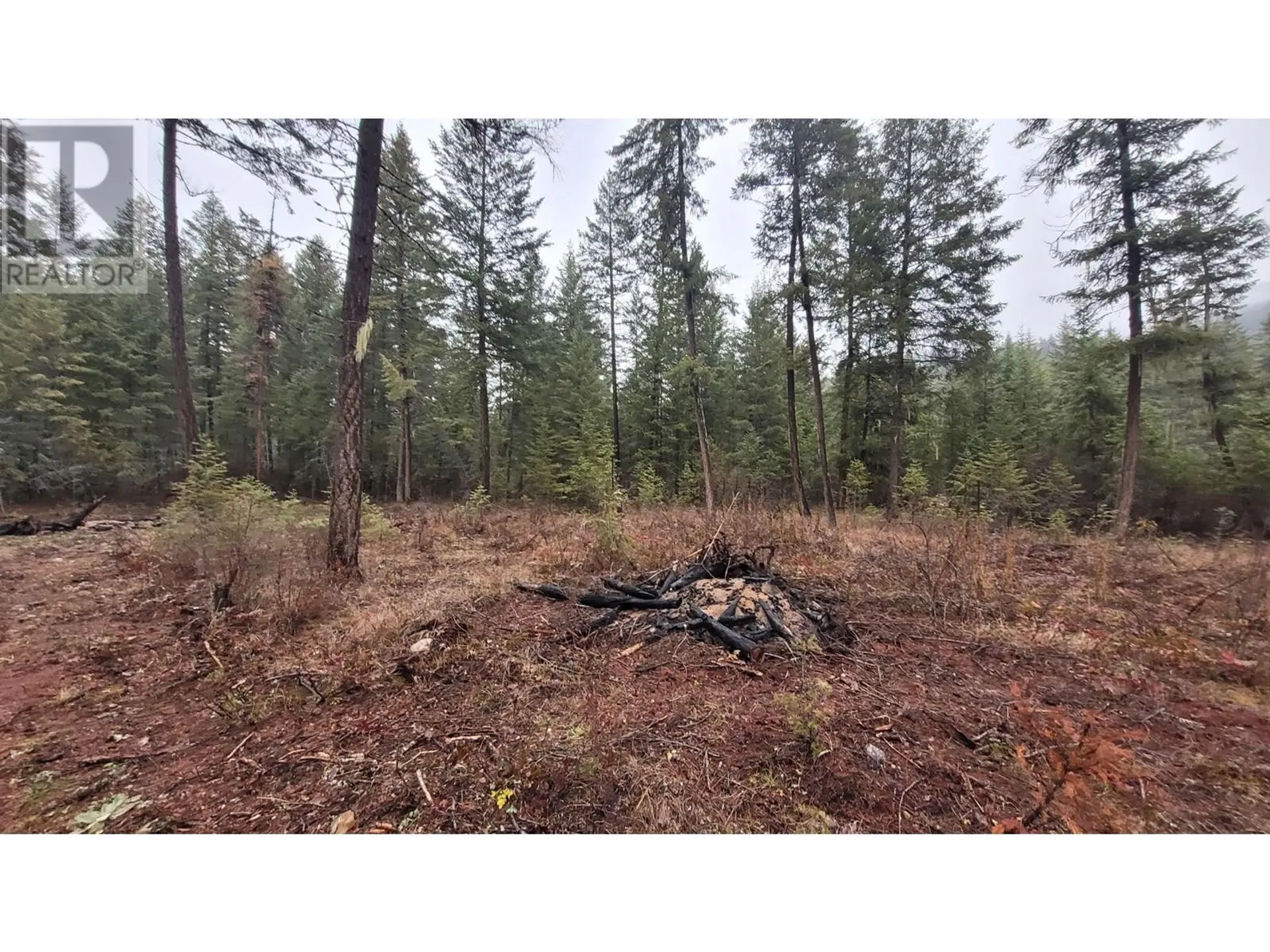 Property at LOT 1 CAITLIN ROAD, Christina Lake, BC