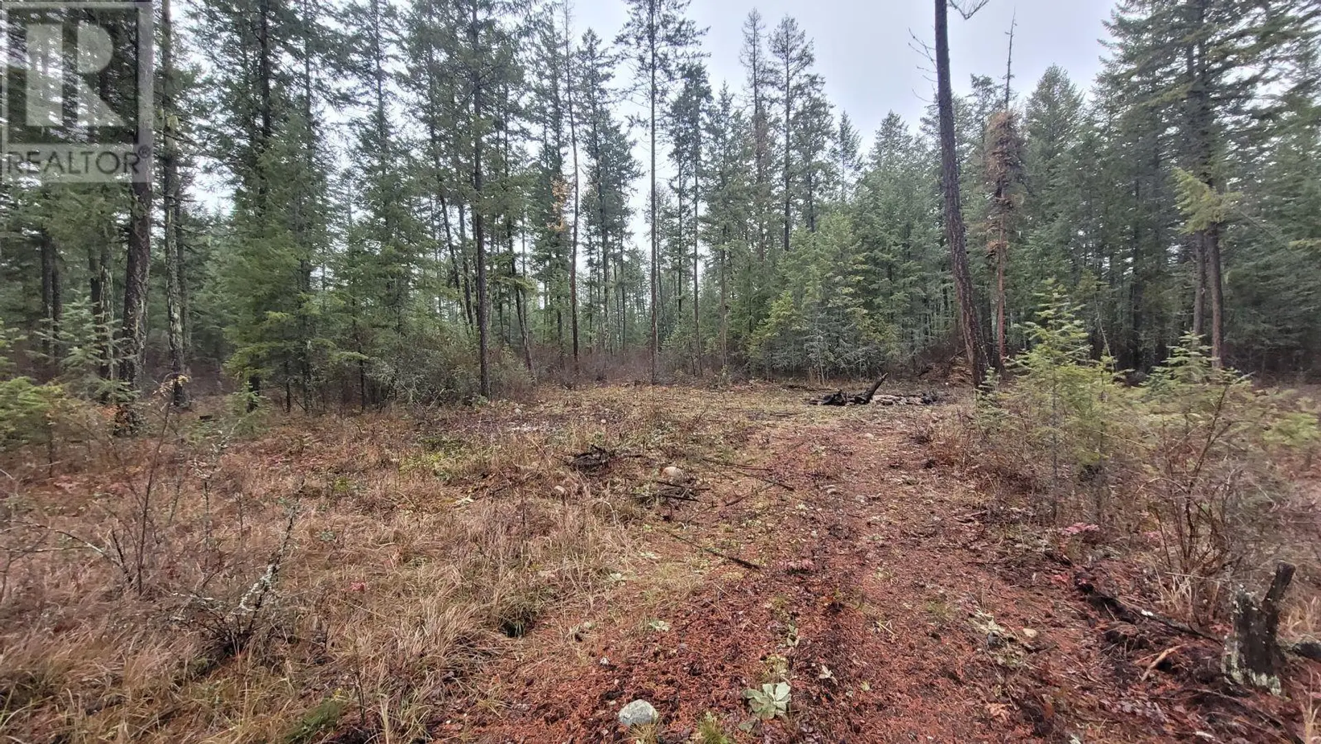 Property at LOT 1 CAITLIN ROAD, Christina Lake, BC