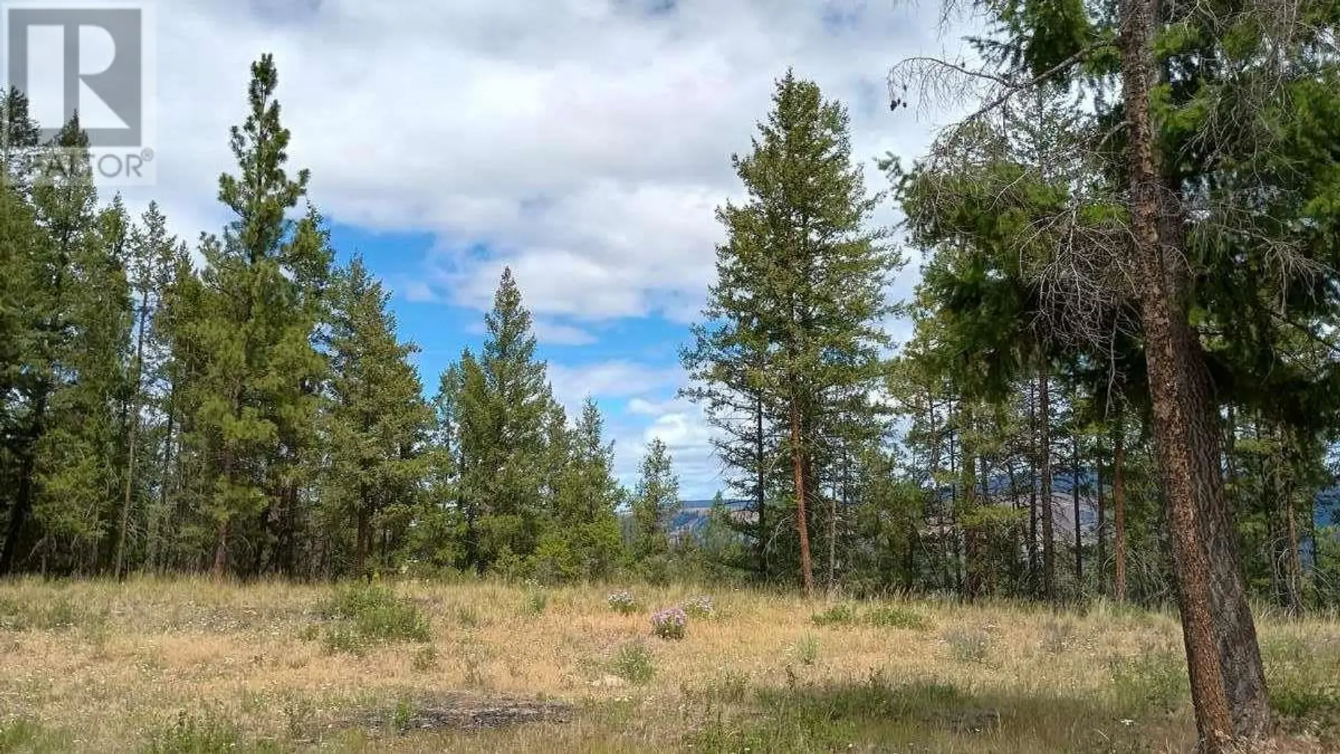 Property at #1 640 HIGHWAY 3, Princeton, BC