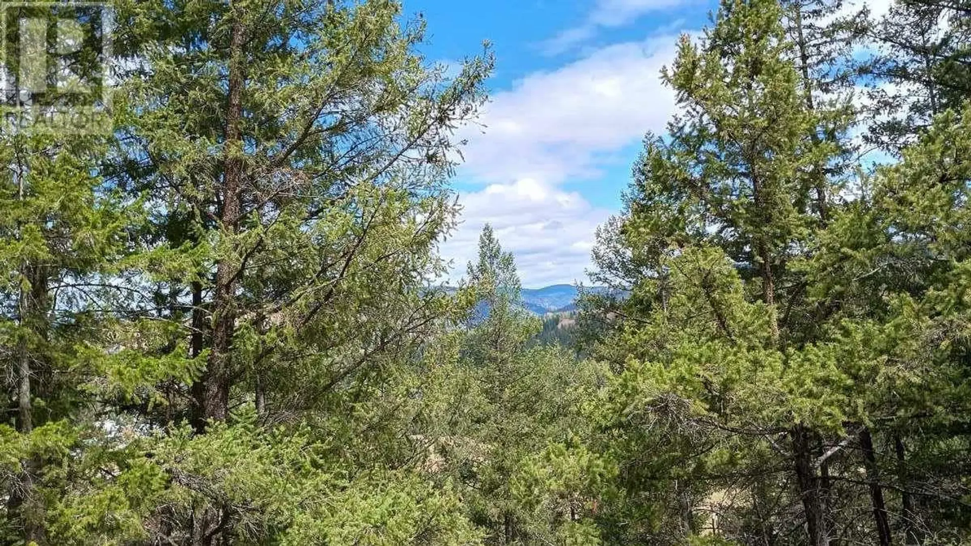 Property at #1 640 HIGHWAY 3, Princeton, BC