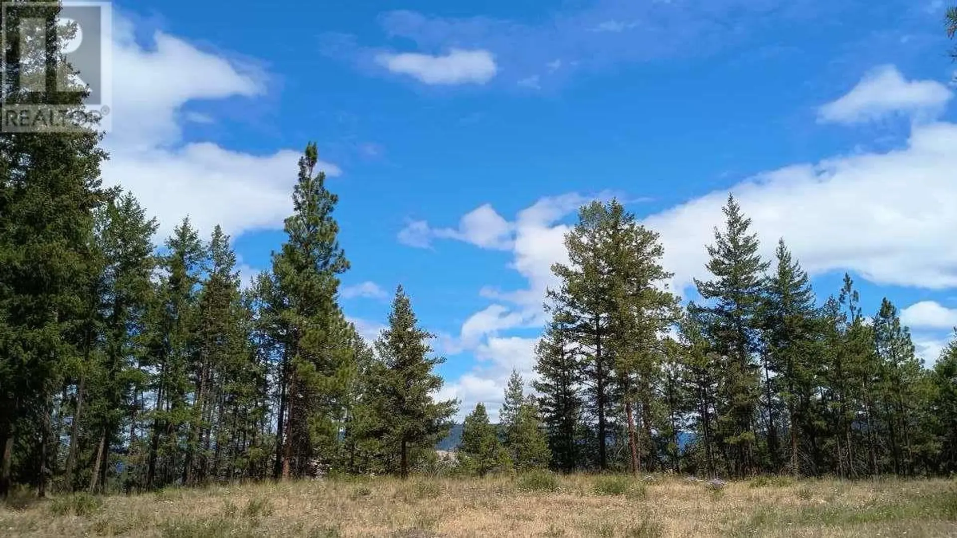 Property at #1 640 HIGHWAY 3, Princeton, BC