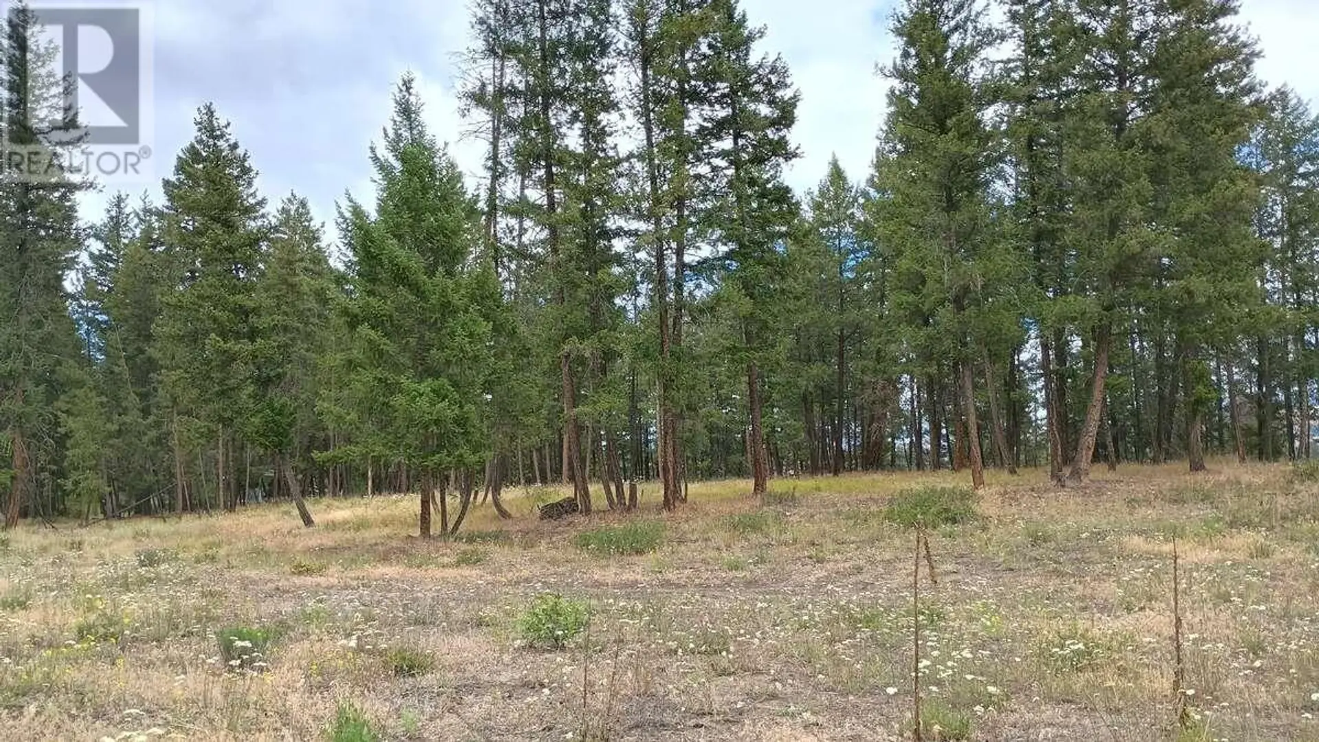 Property at #1 640 HIGHWAY 3, Princeton, BC