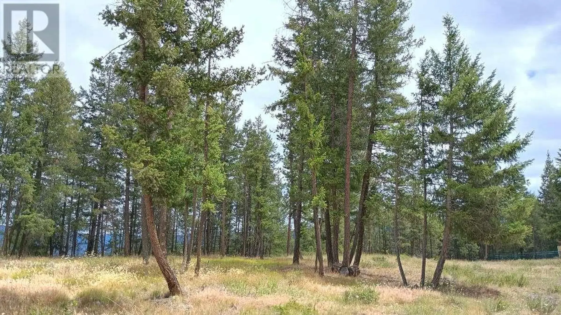 Property at #1 640 HIGHWAY 3, Princeton, BC