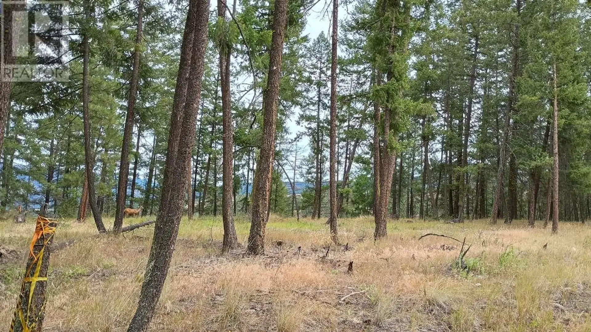 Property at #1 640 HIGHWAY 3, Princeton, BC