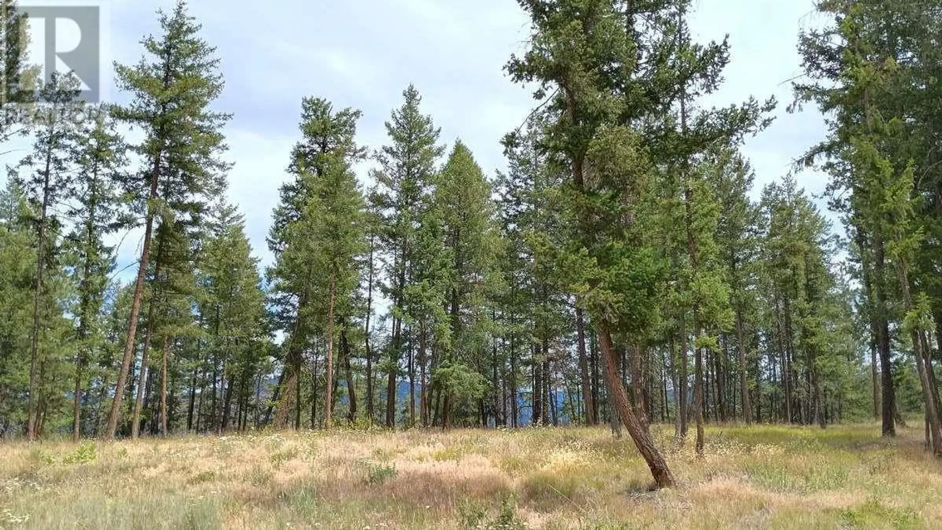 Property at #1 640 HIGHWAY 3, Princeton, BC