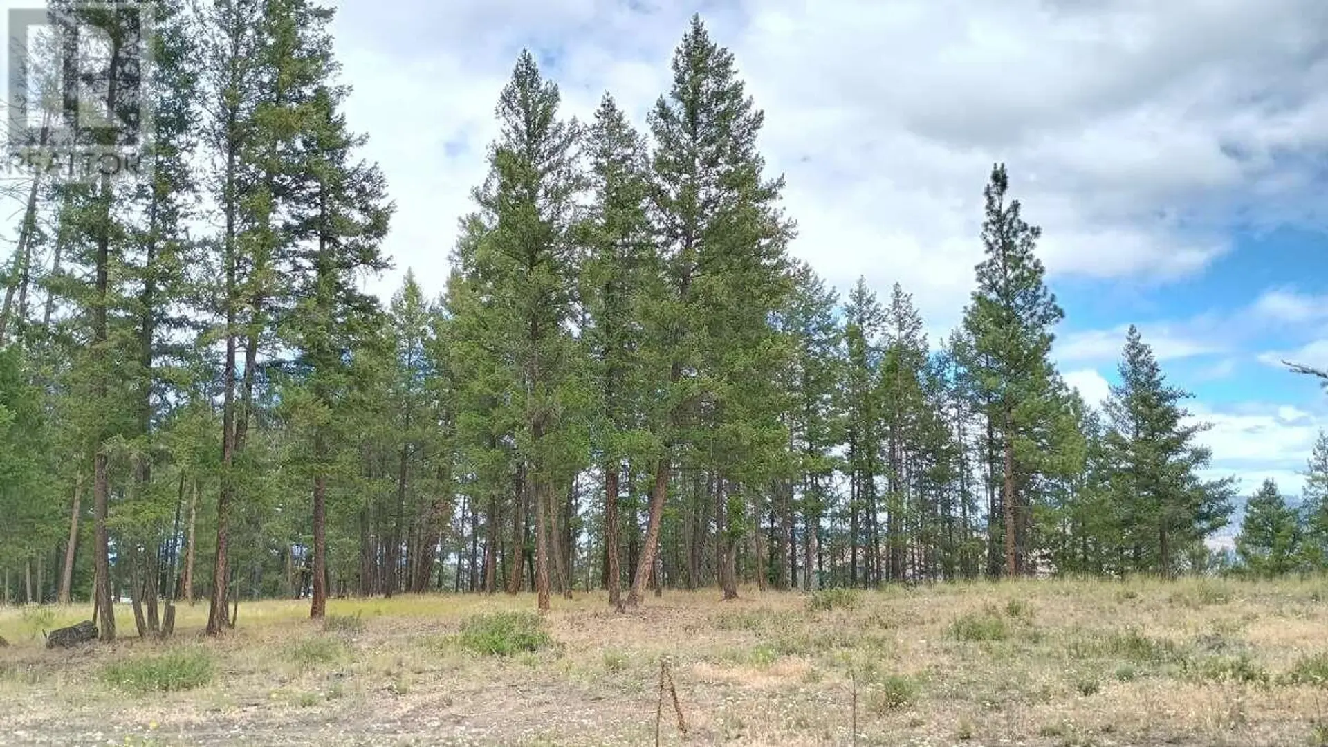 Property at #1 640 HIGHWAY 3, Princeton, BC