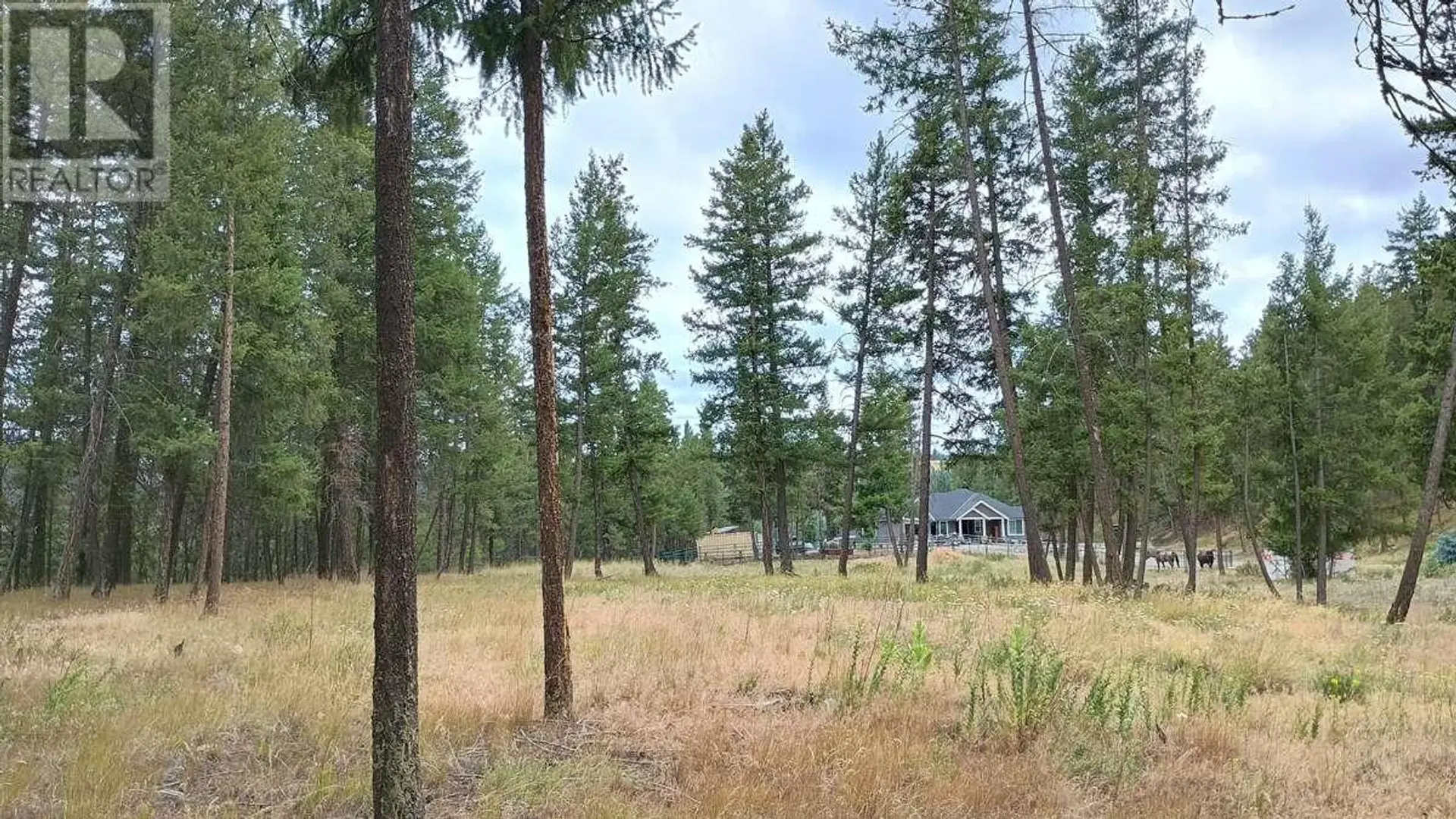 Property at #1 640 HIGHWAY 3, Princeton, BC