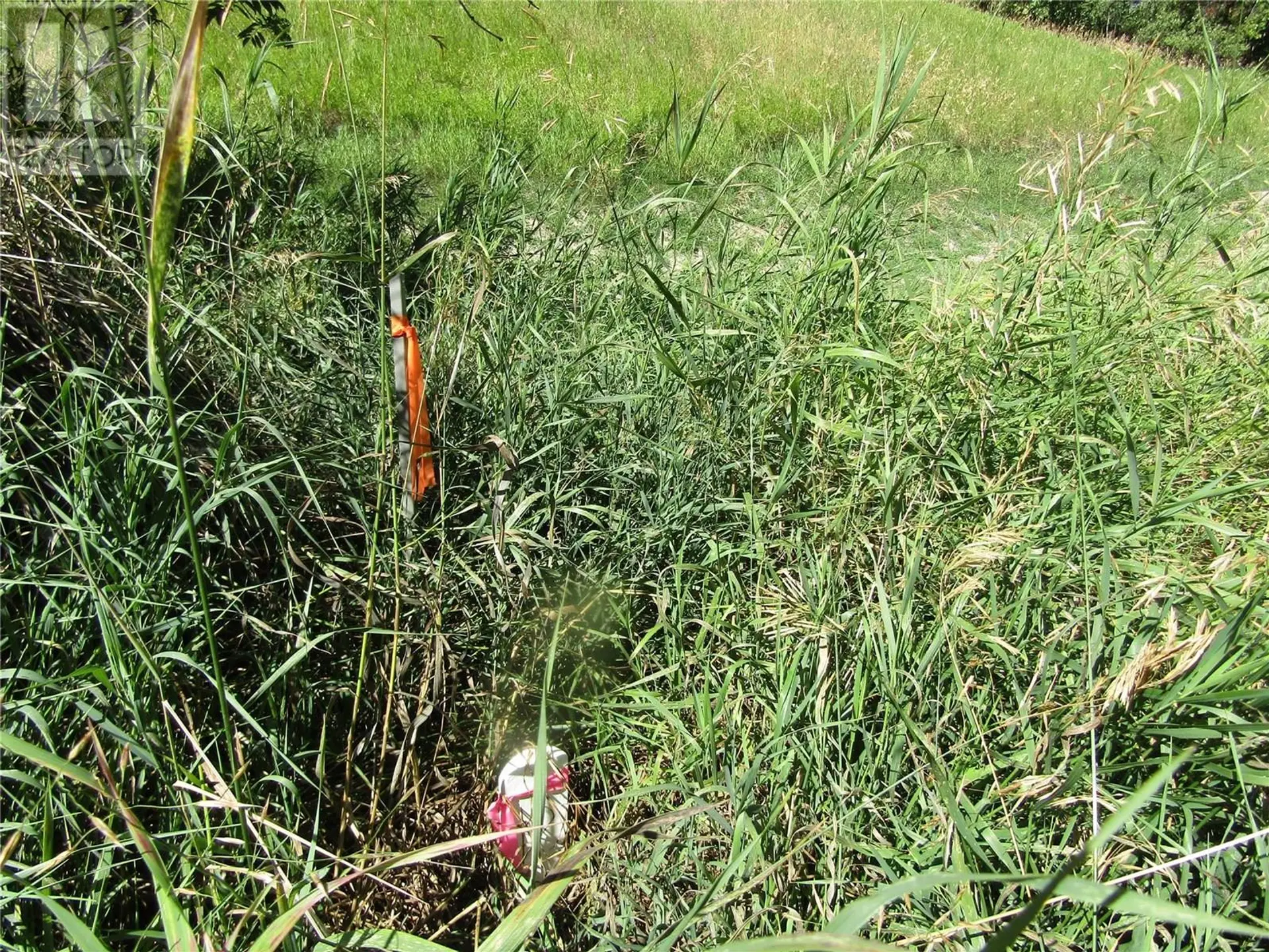 Property at LOT 7 84TH AVENUE, Grand Forks, BC