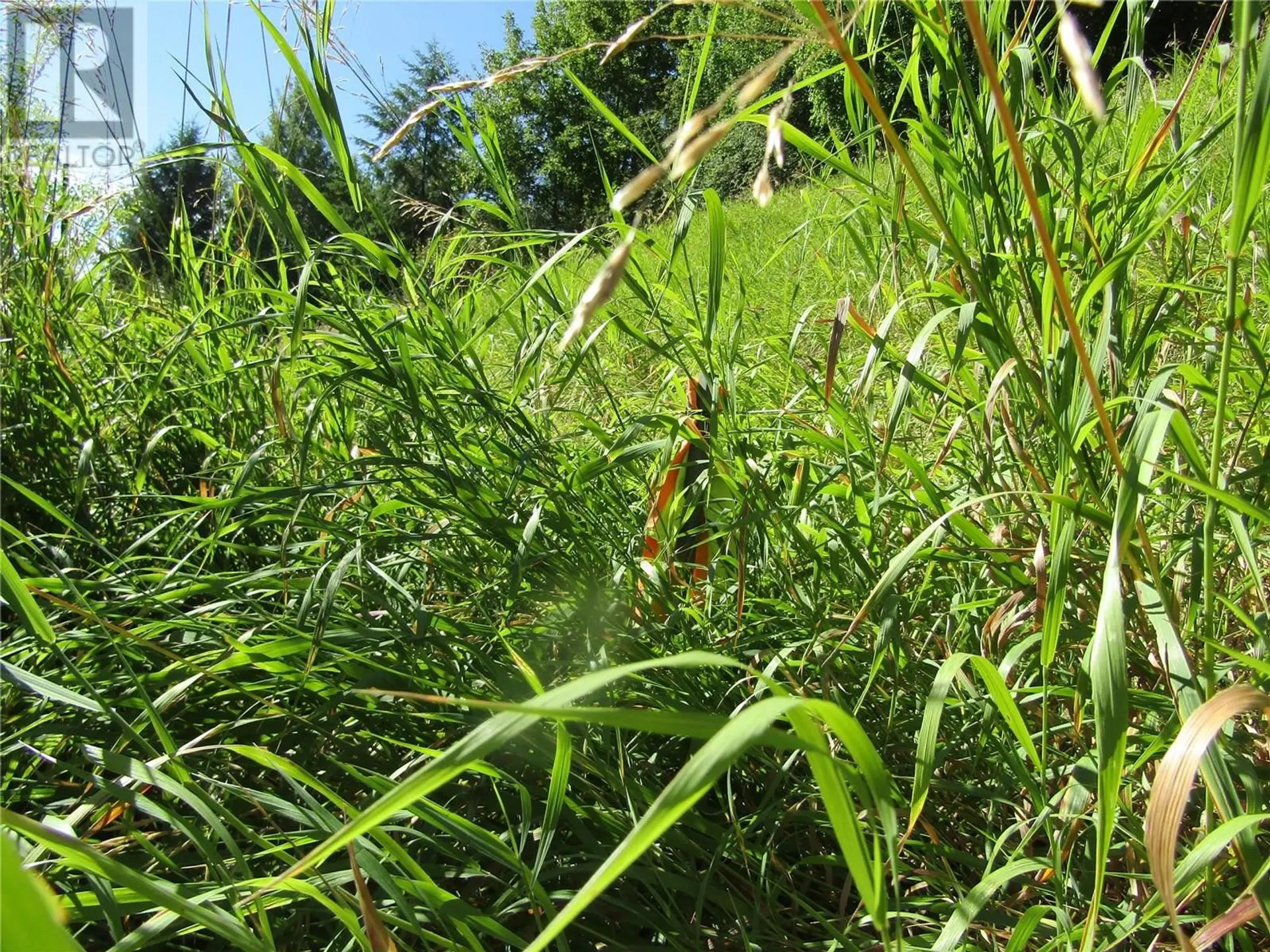 Property at LOT 7 84TH AVENUE, Grand Forks, BC