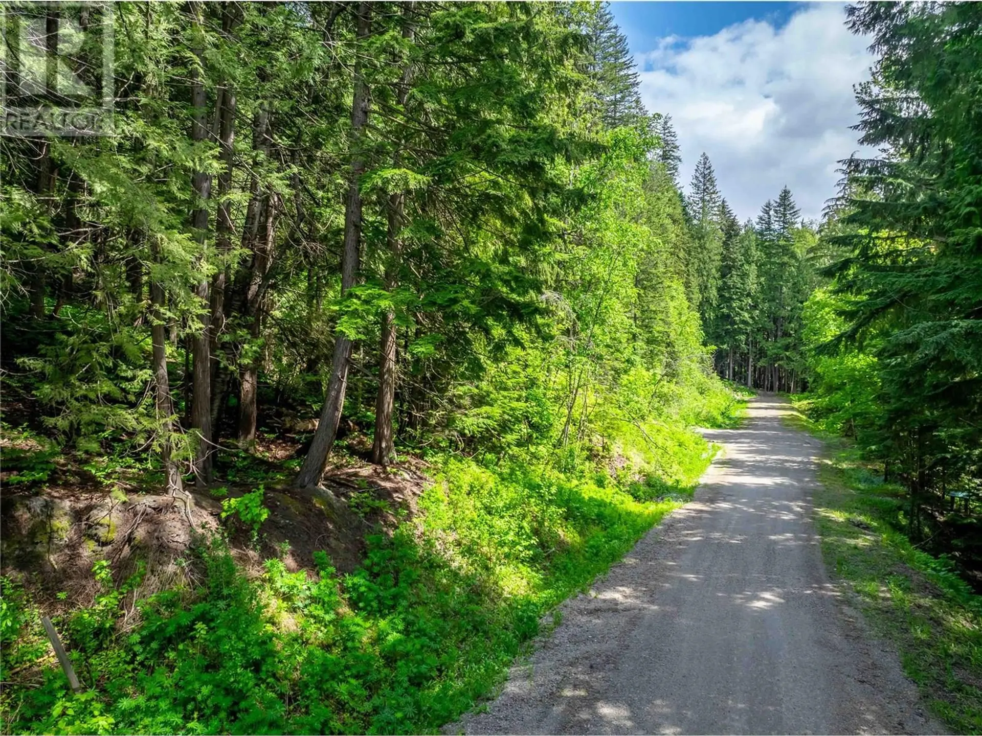 Property at 714 CEDAR STREET, Revelstoke, BC