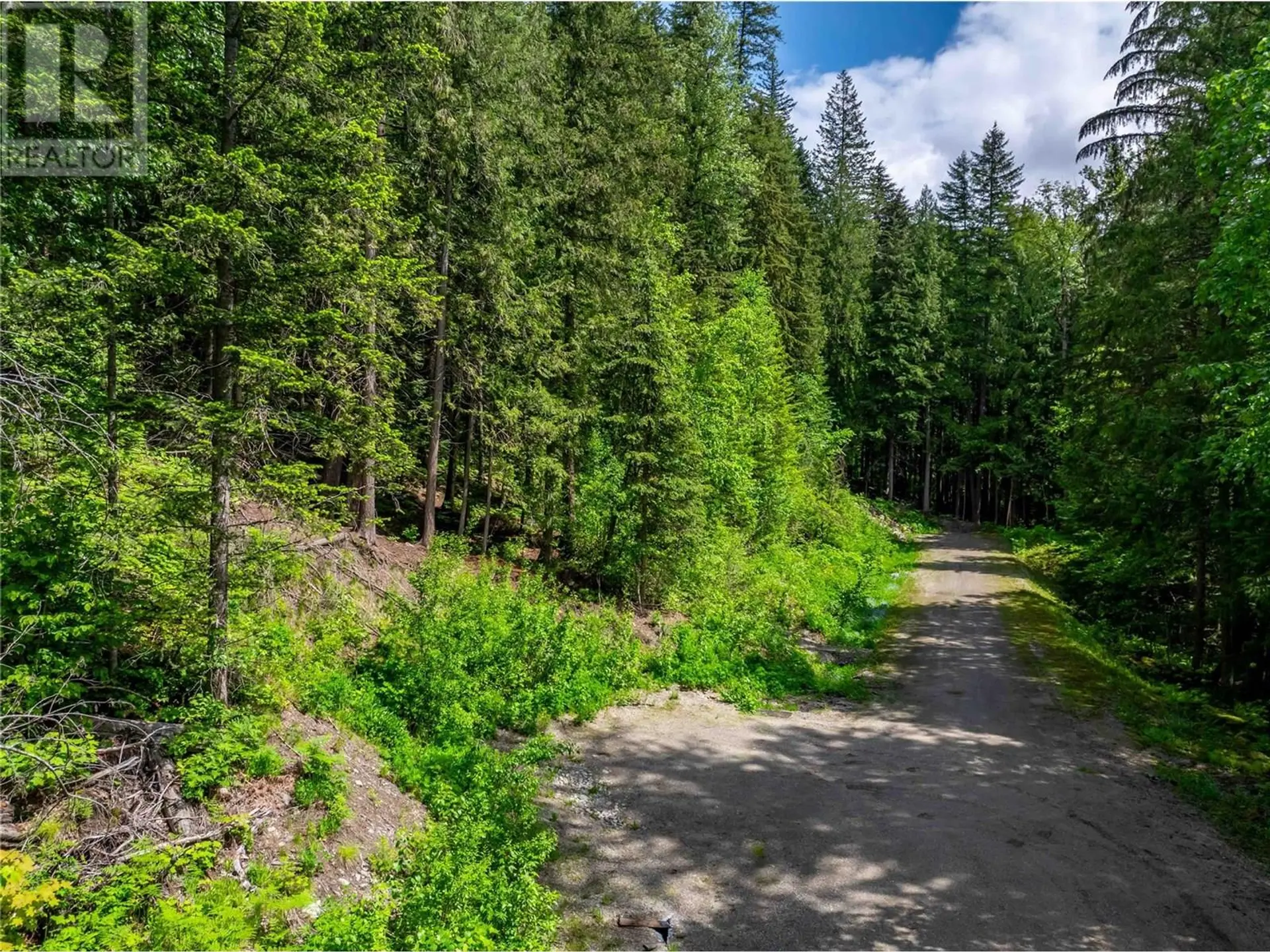 Property at 714 CEDAR STREET, Revelstoke, BC