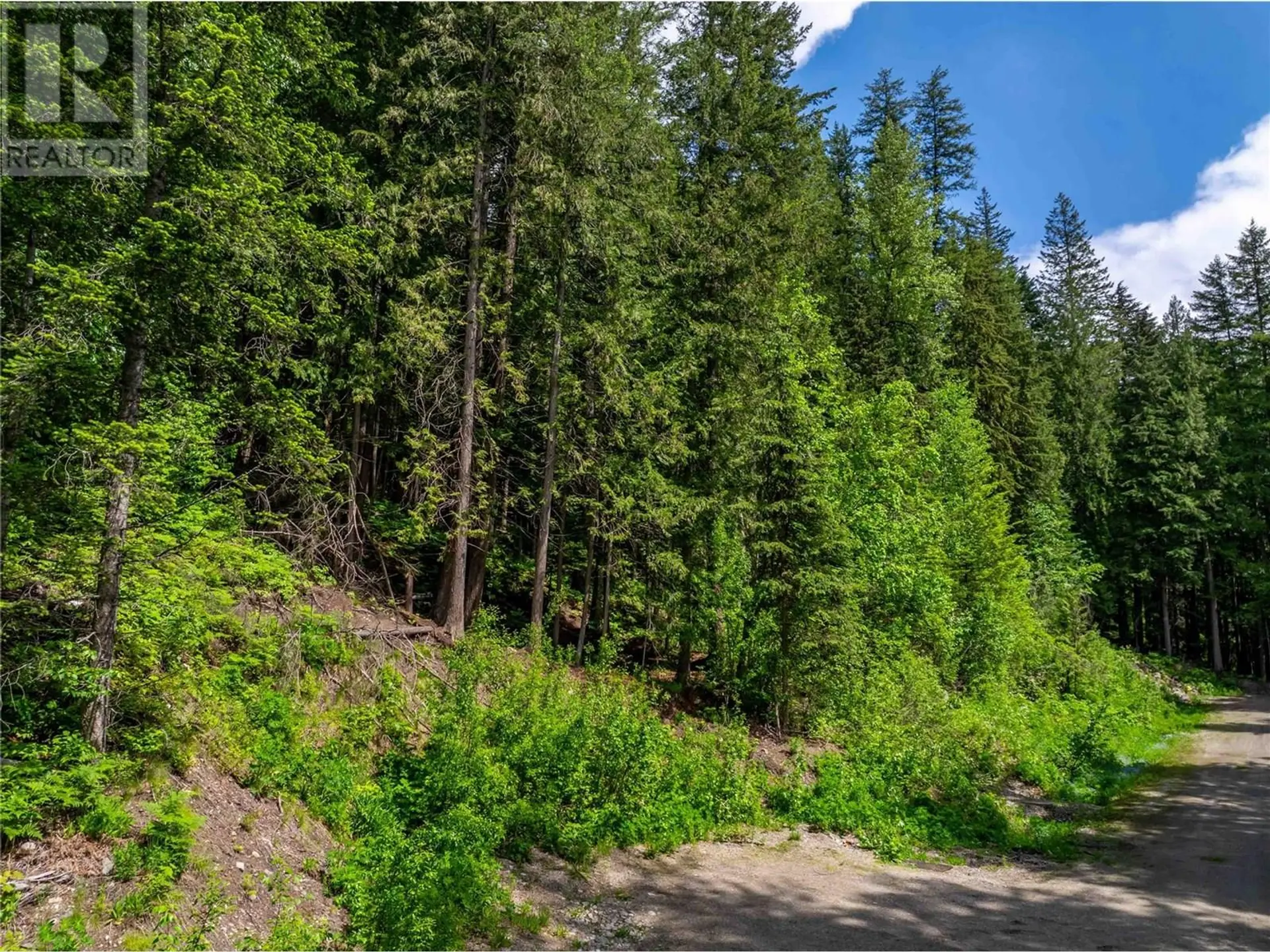 Property at 714 CEDAR STREET, Revelstoke, BC