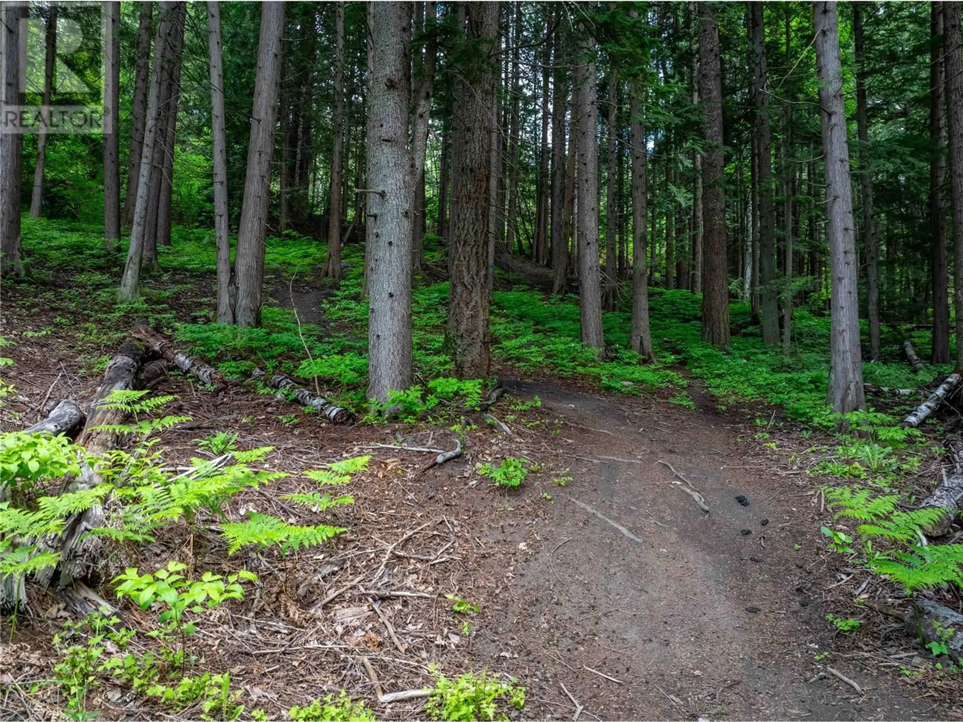 Property at 714 CEDAR STREET, Revelstoke, BC