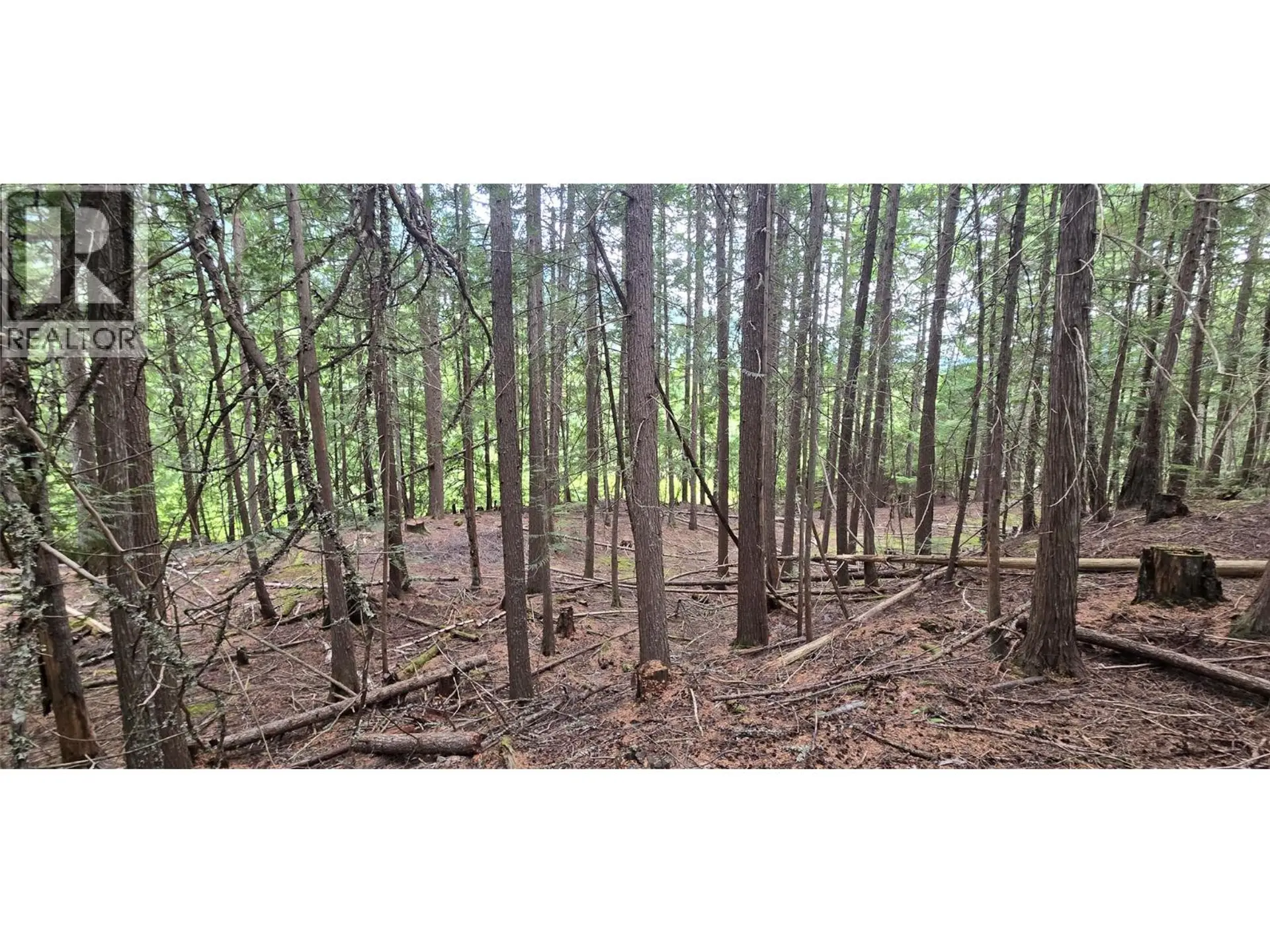 Property at 4560 6 HIGHWAY, Winlaw, BC