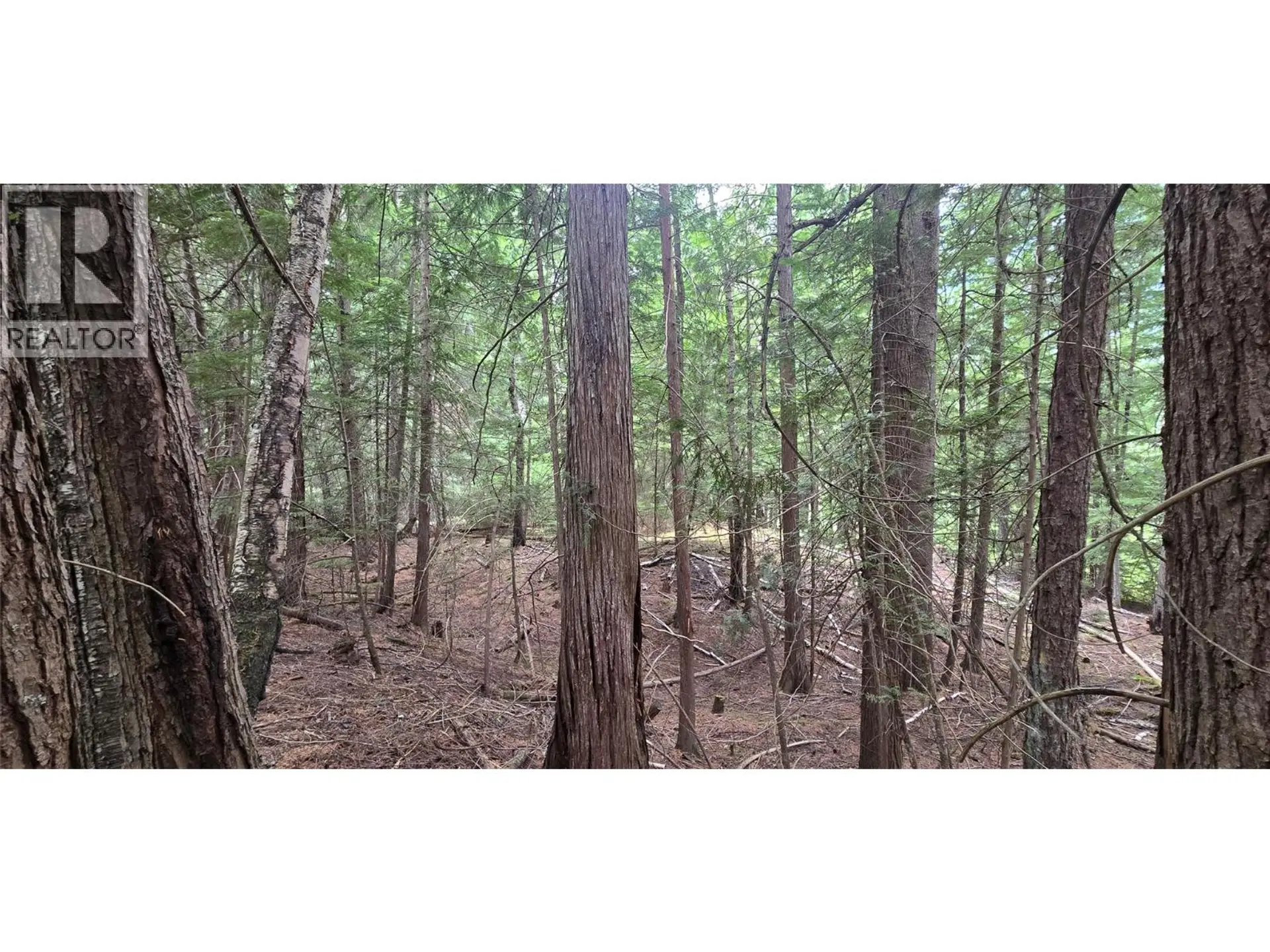 Property at 4560 6 HIGHWAY, Winlaw, BC