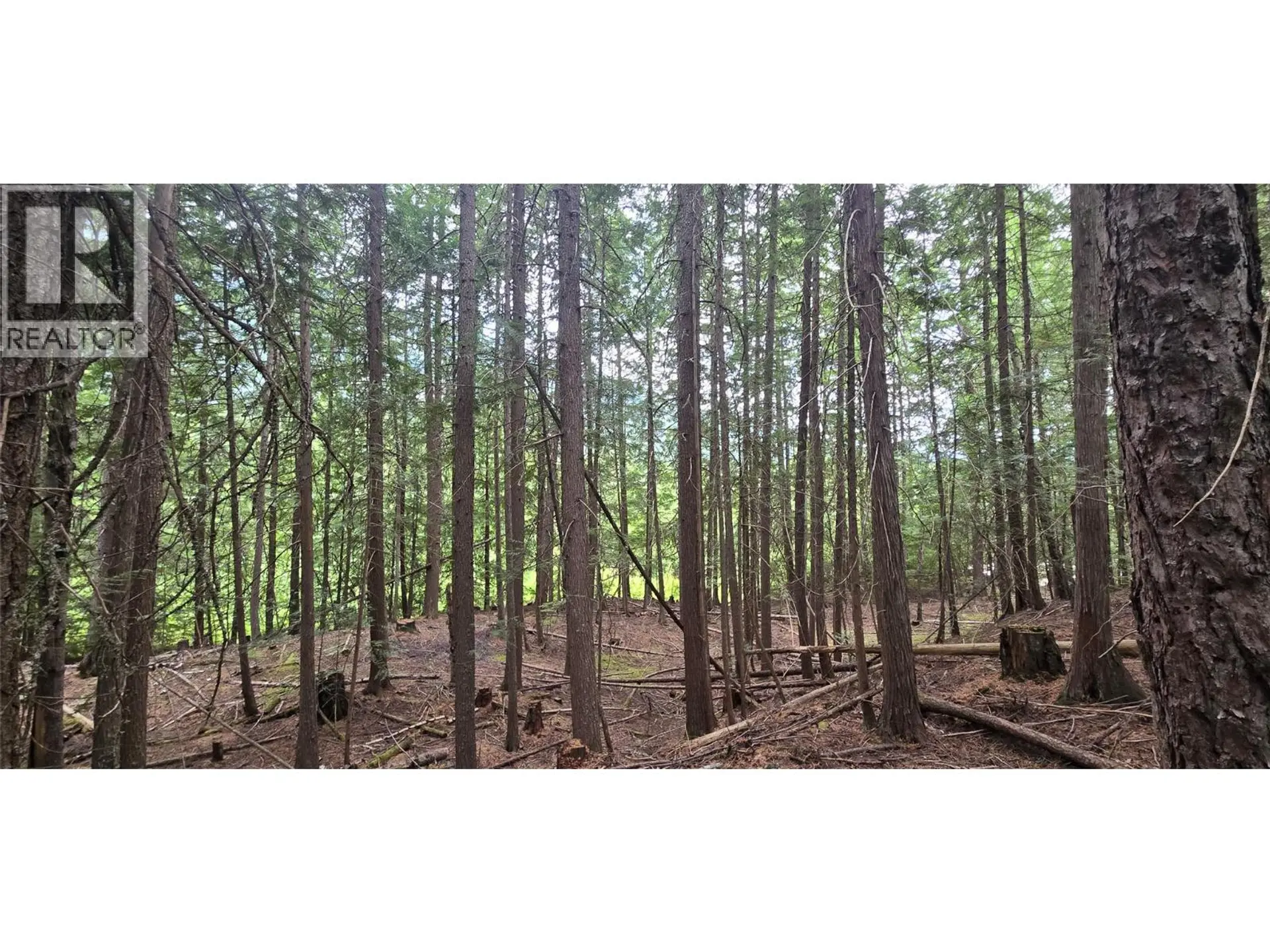 Property at 4560 6 HIGHWAY, Winlaw, BC