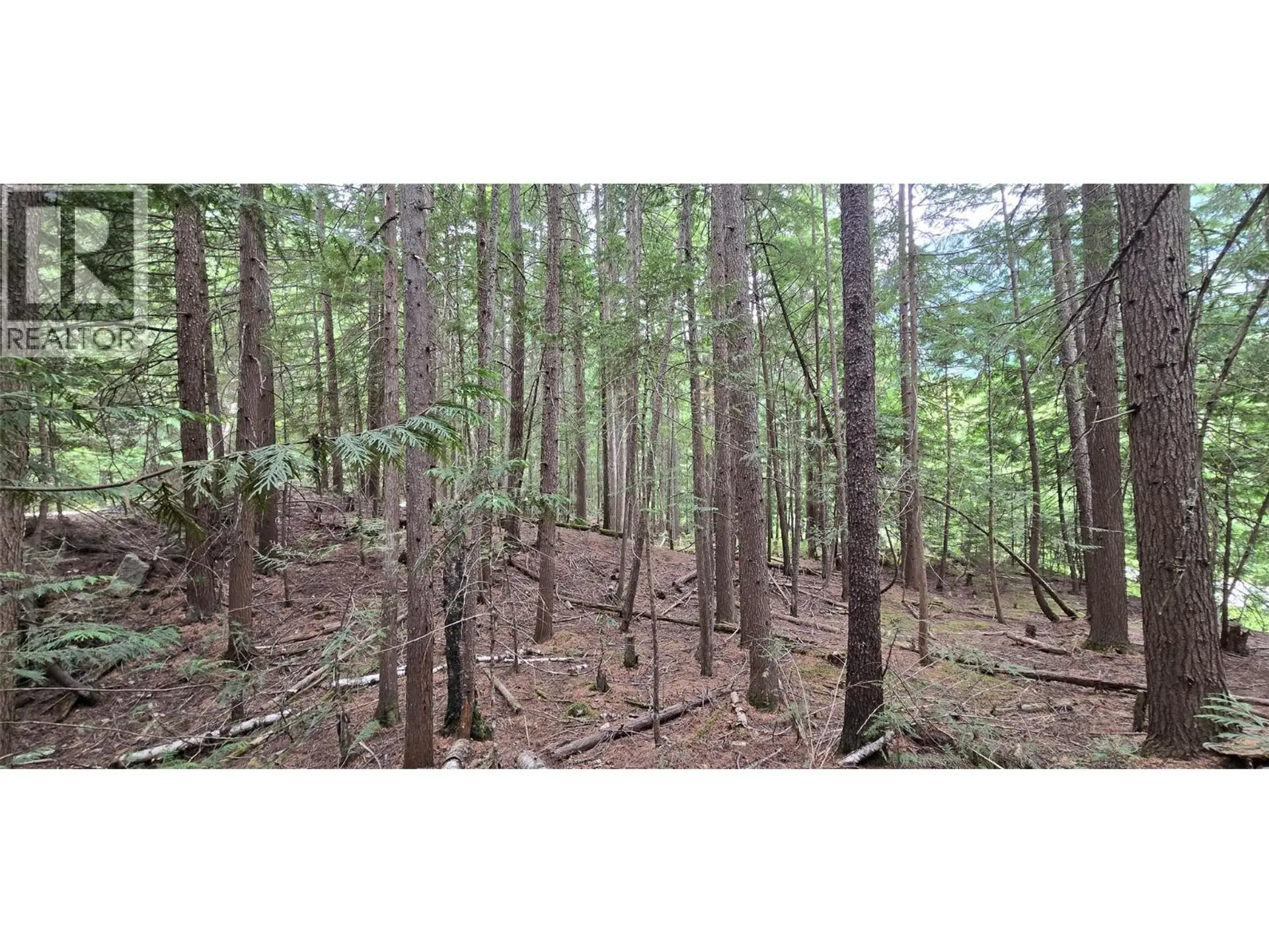 Property at 4560 6 HIGHWAY, Winlaw, BC