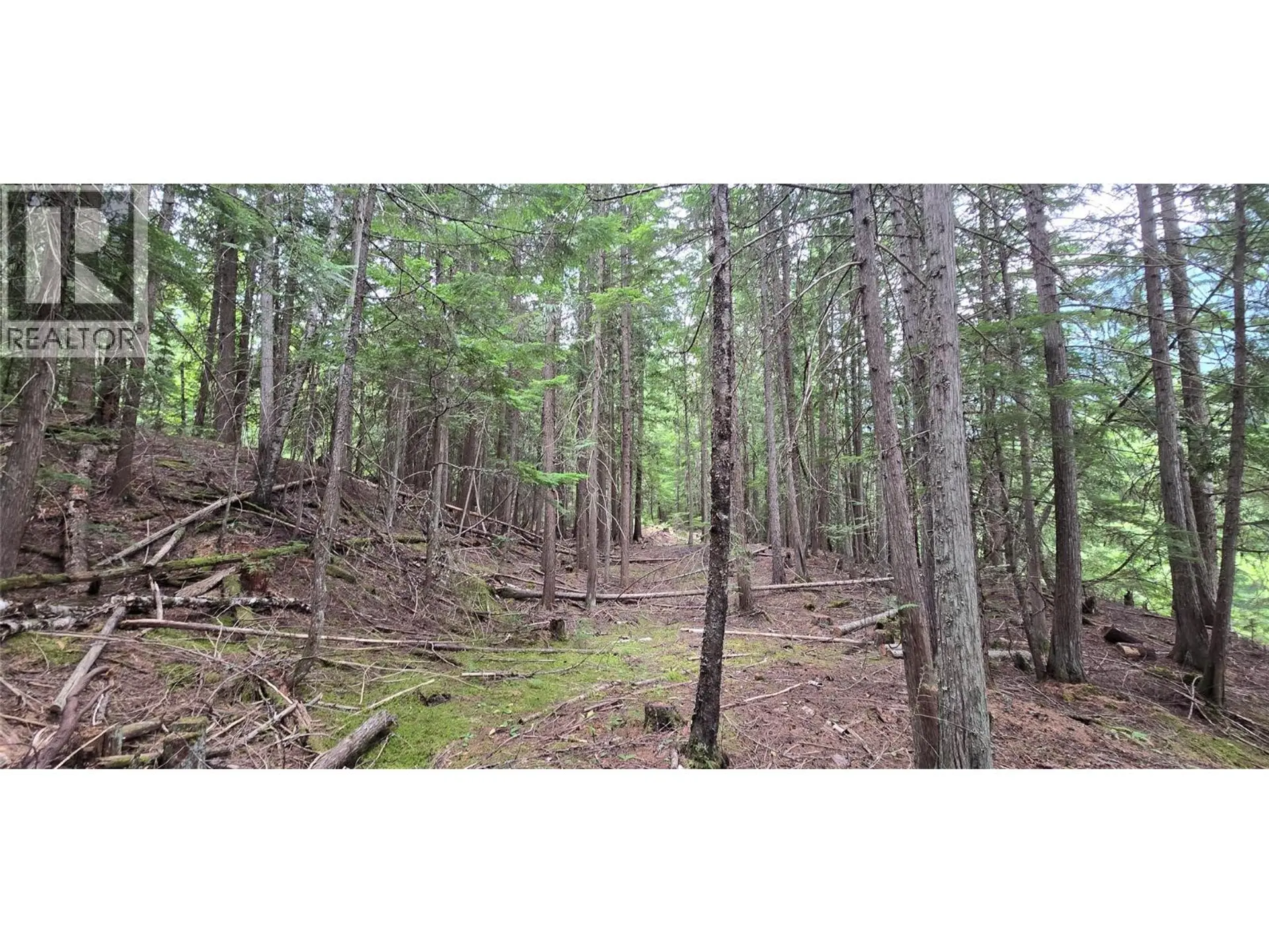 Property at 4560 6 HIGHWAY, Winlaw, BC