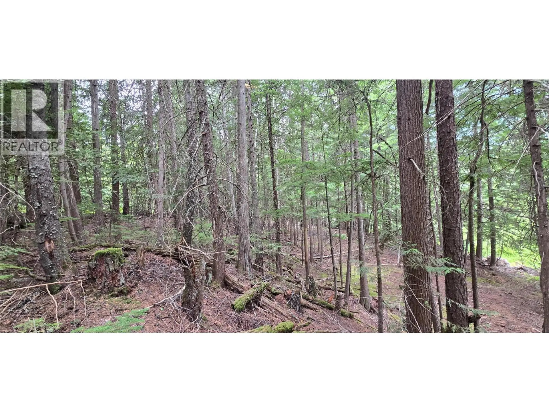 Property at 4560 6 HIGHWAY, Winlaw, BC