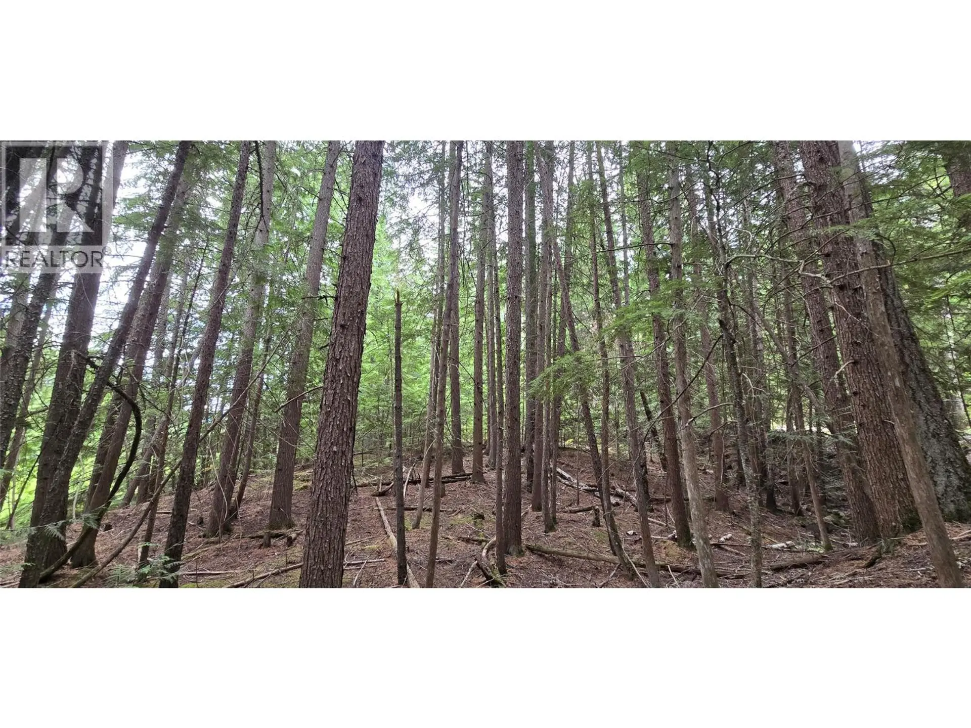 Property at 4560 6 HIGHWAY, Winlaw, BC