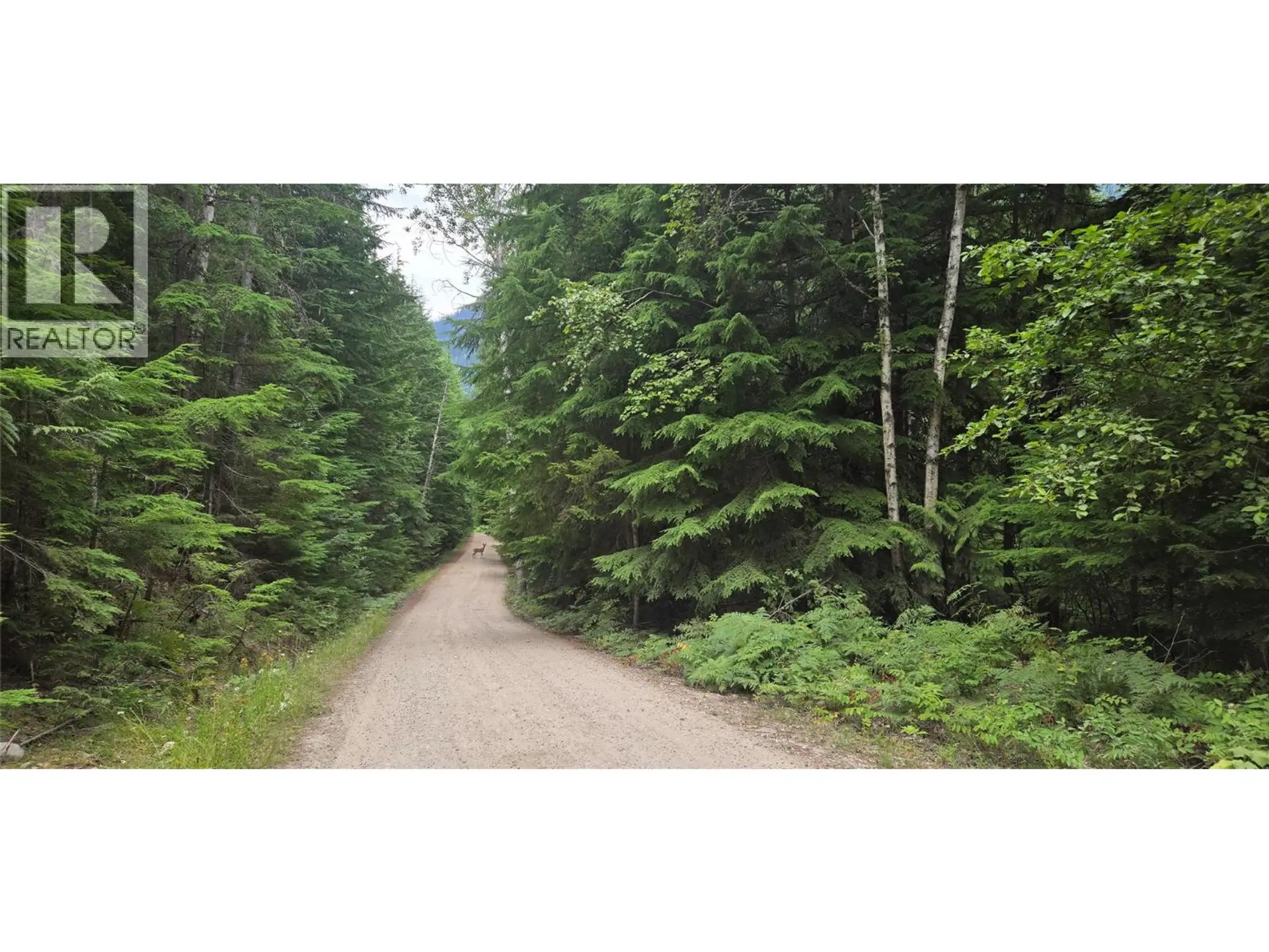 Property at 4560 6 HIGHWAY, Winlaw, BC