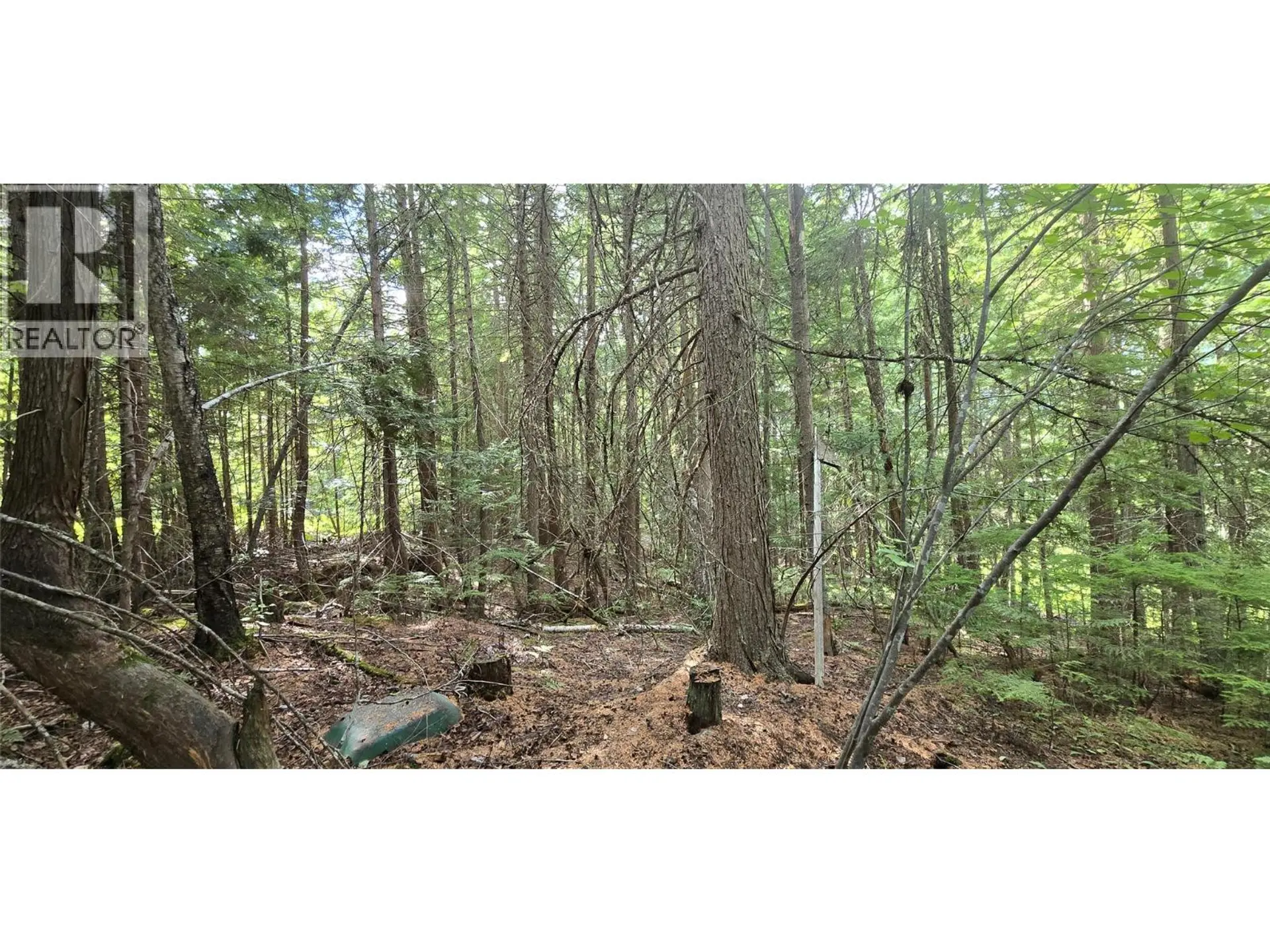 Property at 4560 6 HIGHWAY, Winlaw, BC