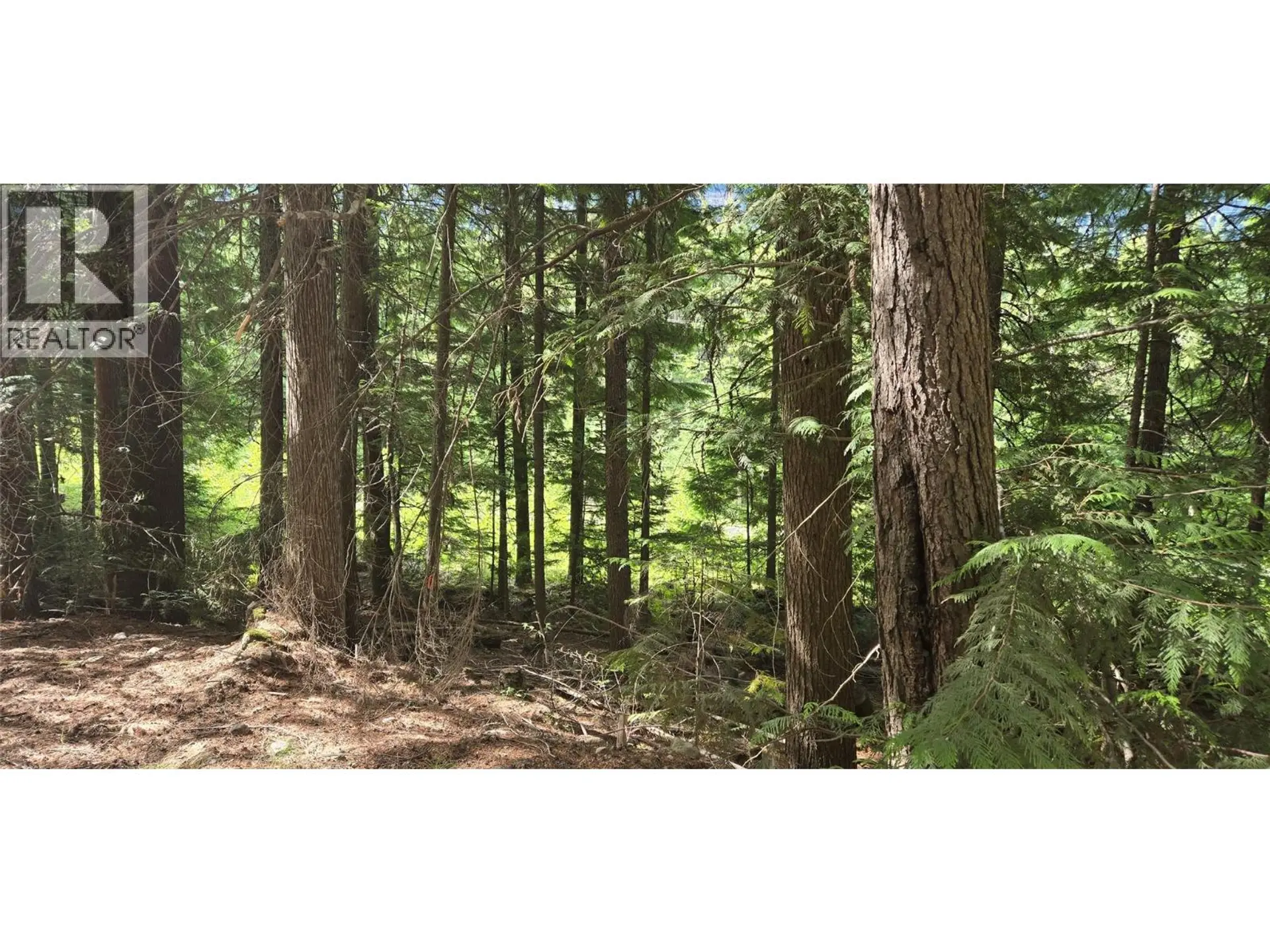 Property at 4560 6 HIGHWAY, Winlaw, BC